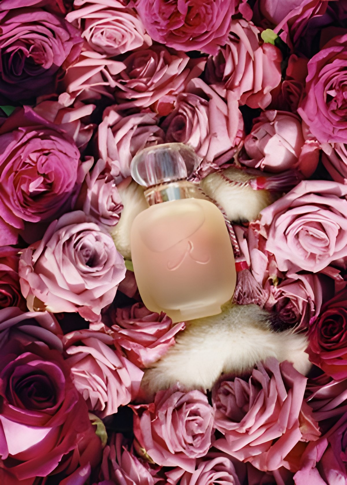 Picture of Une Folie de Rose fragrance