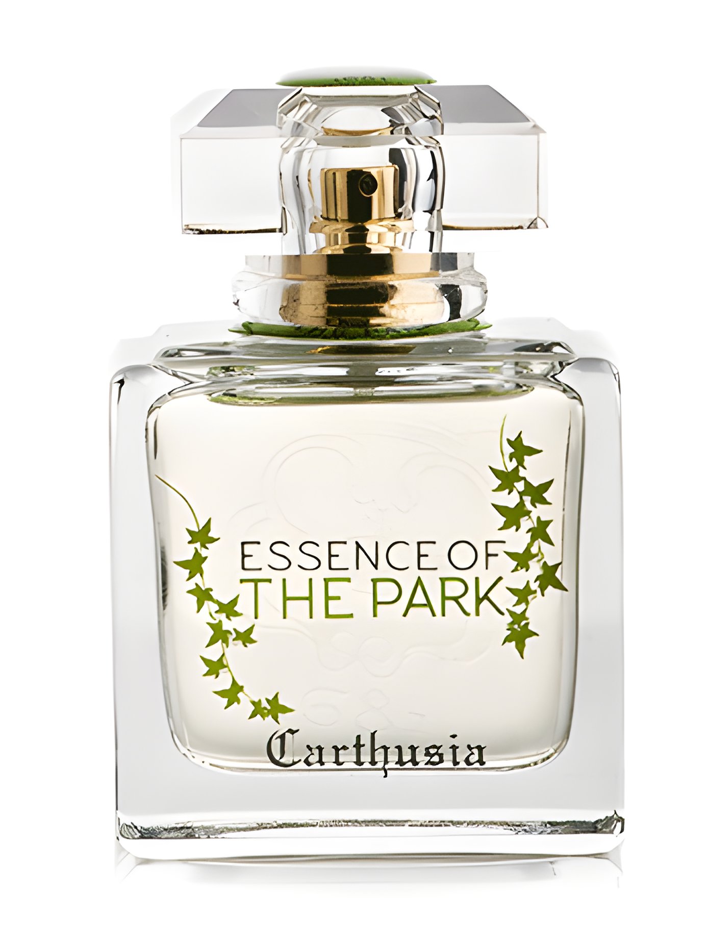 Picture of Essence of the Park fragrance