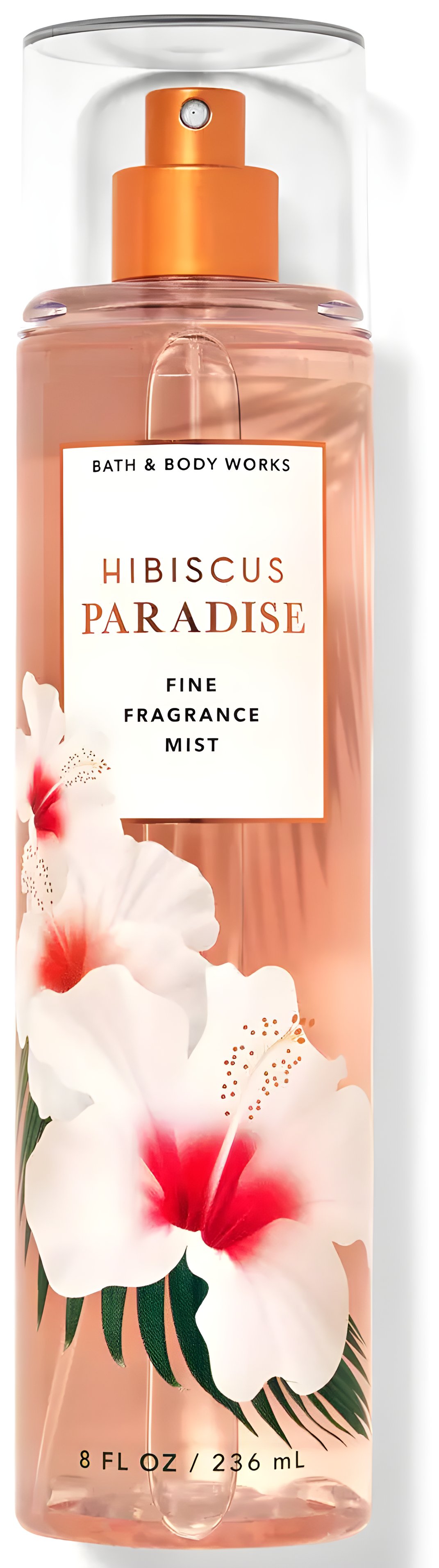 Picture of Hibiscus Paradise fragrance