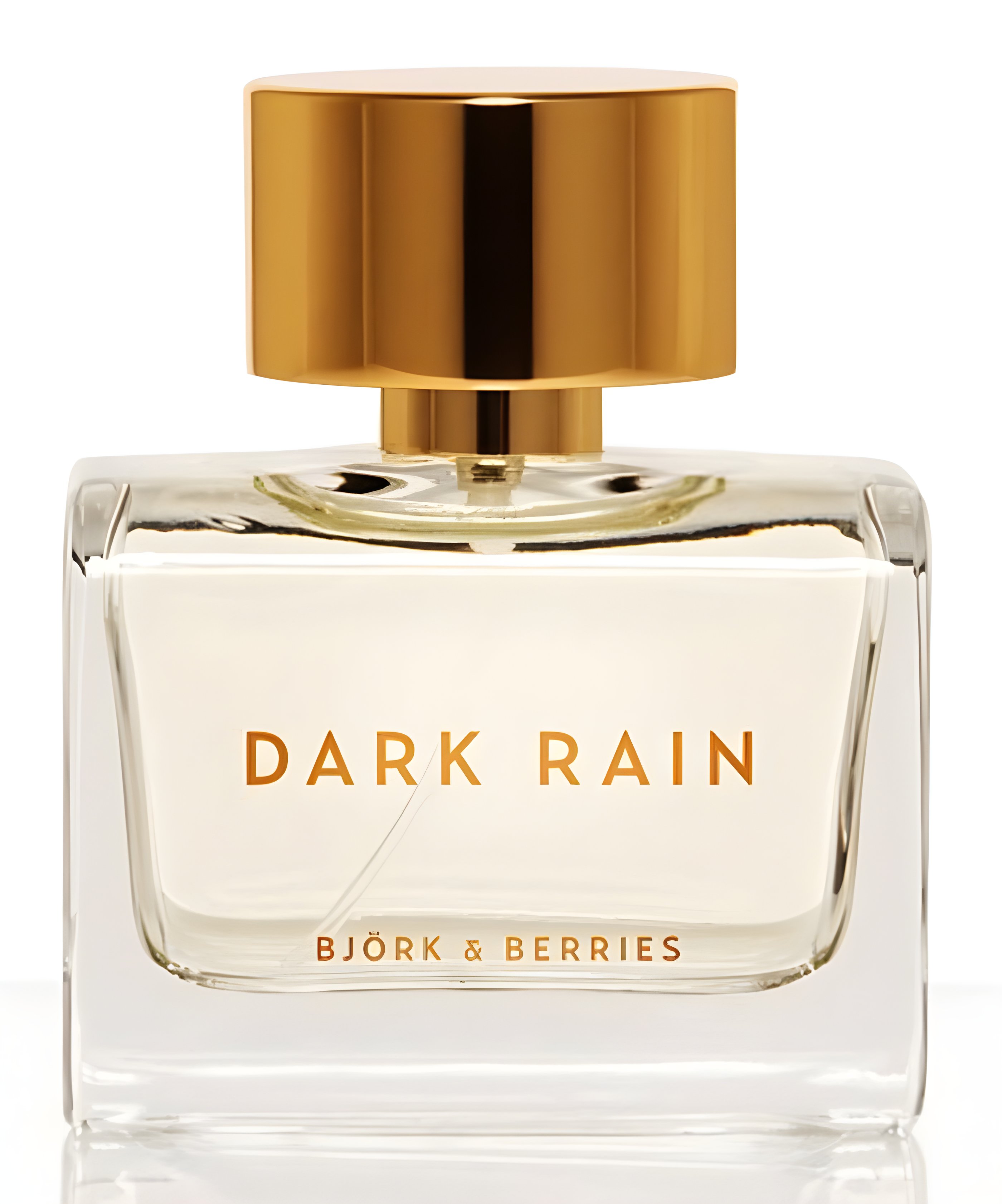 Picture of Dark Rain fragrance