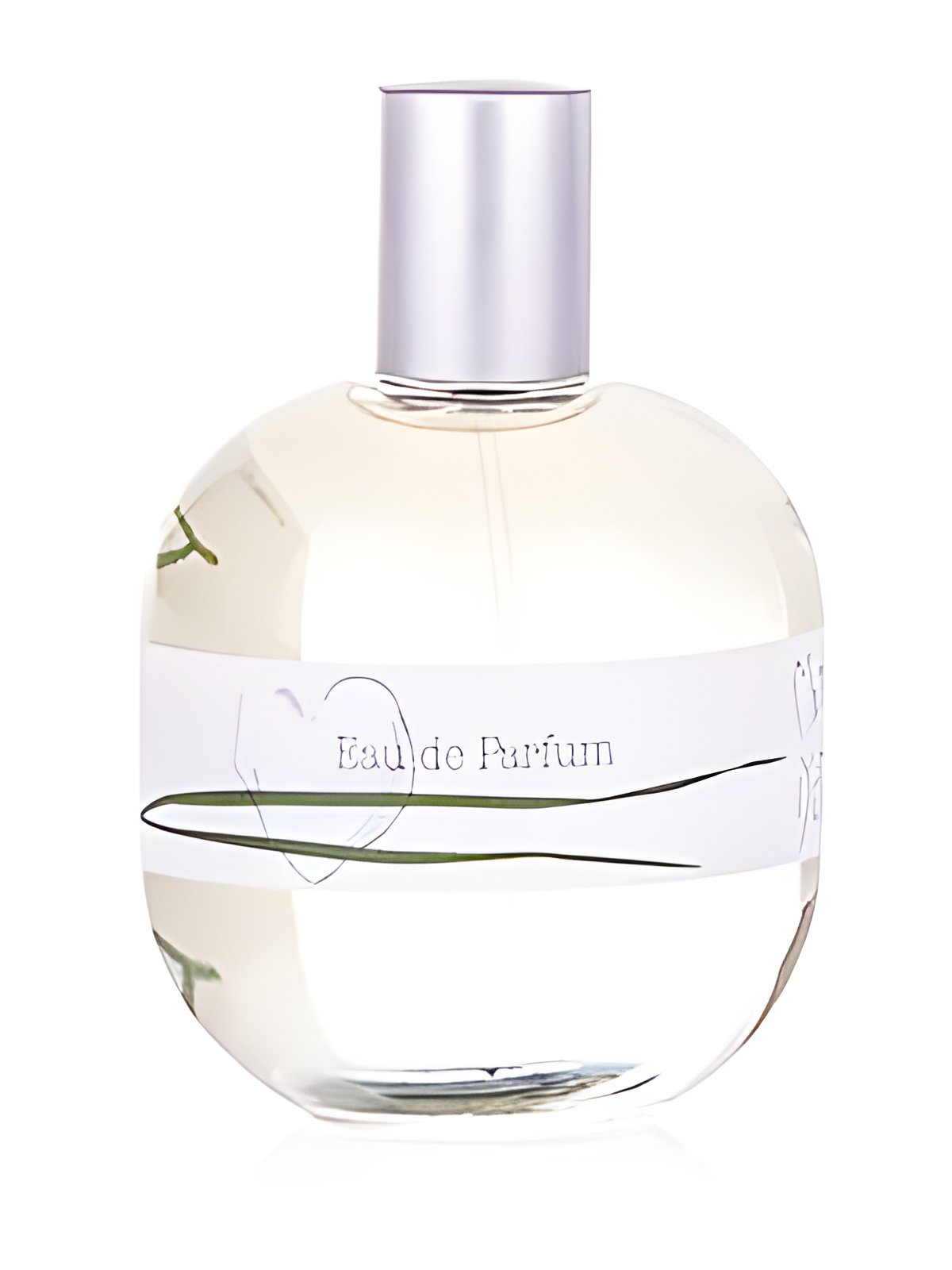 Picture of Matin d'Ete fragrance