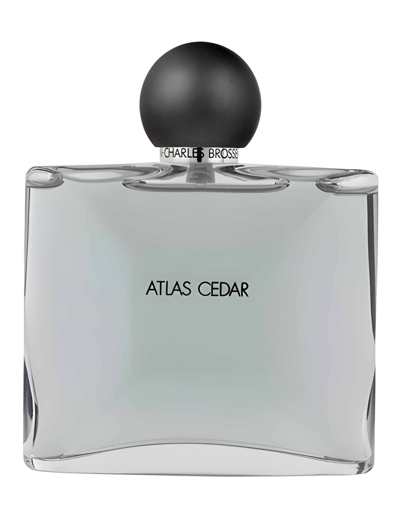 Picture of Atlas Cedar fragrance