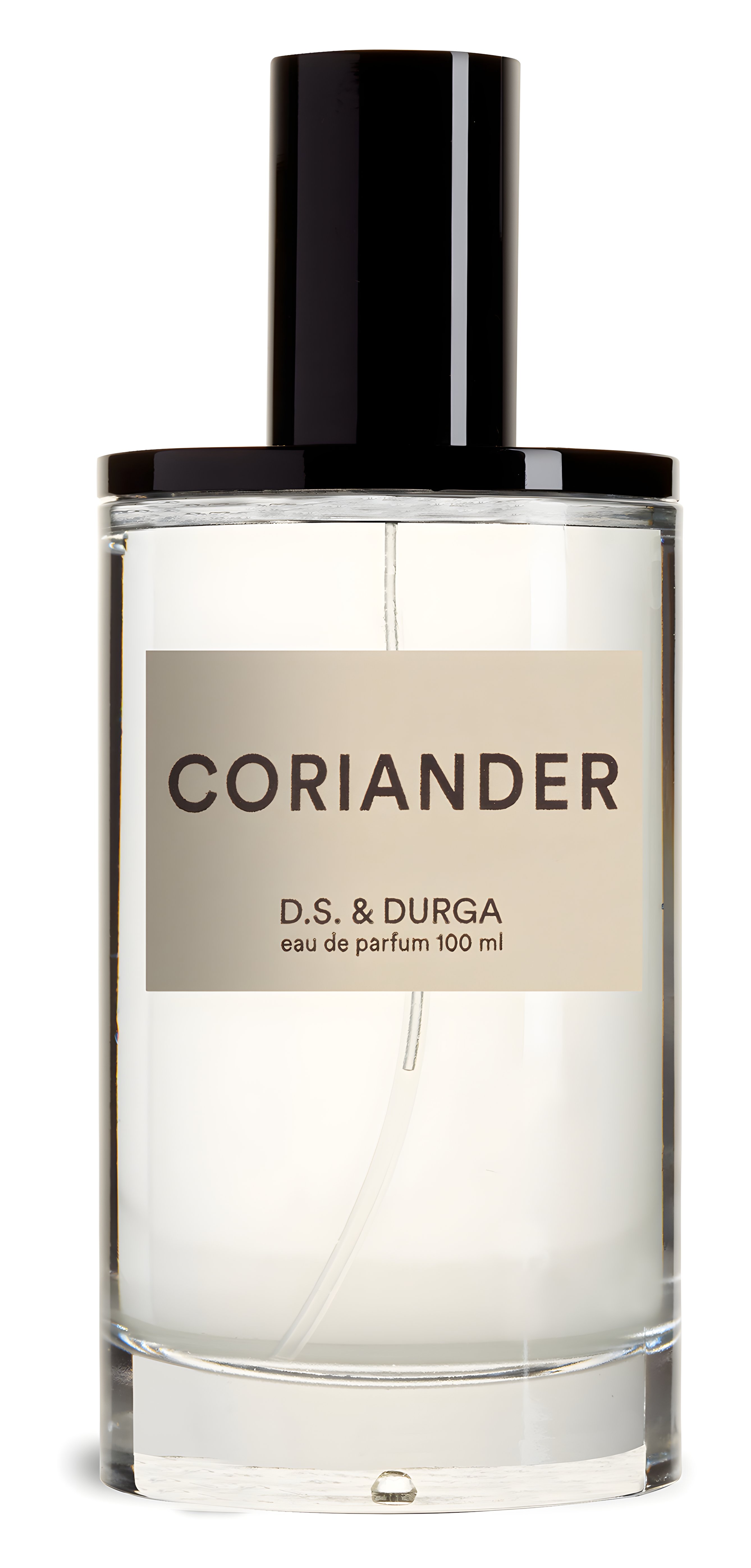 Picture of Coriander fragrance