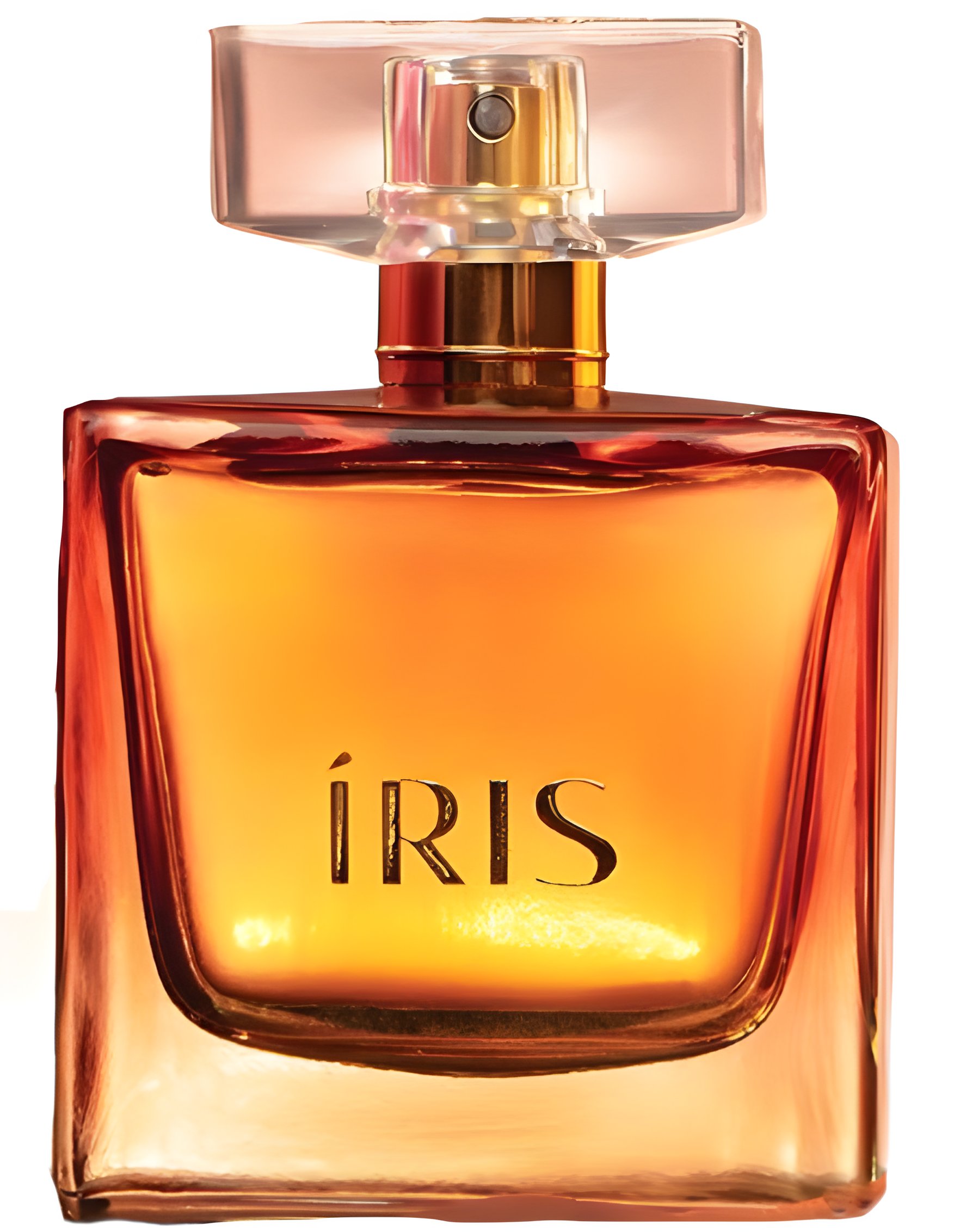 Picture of Íris fragrance