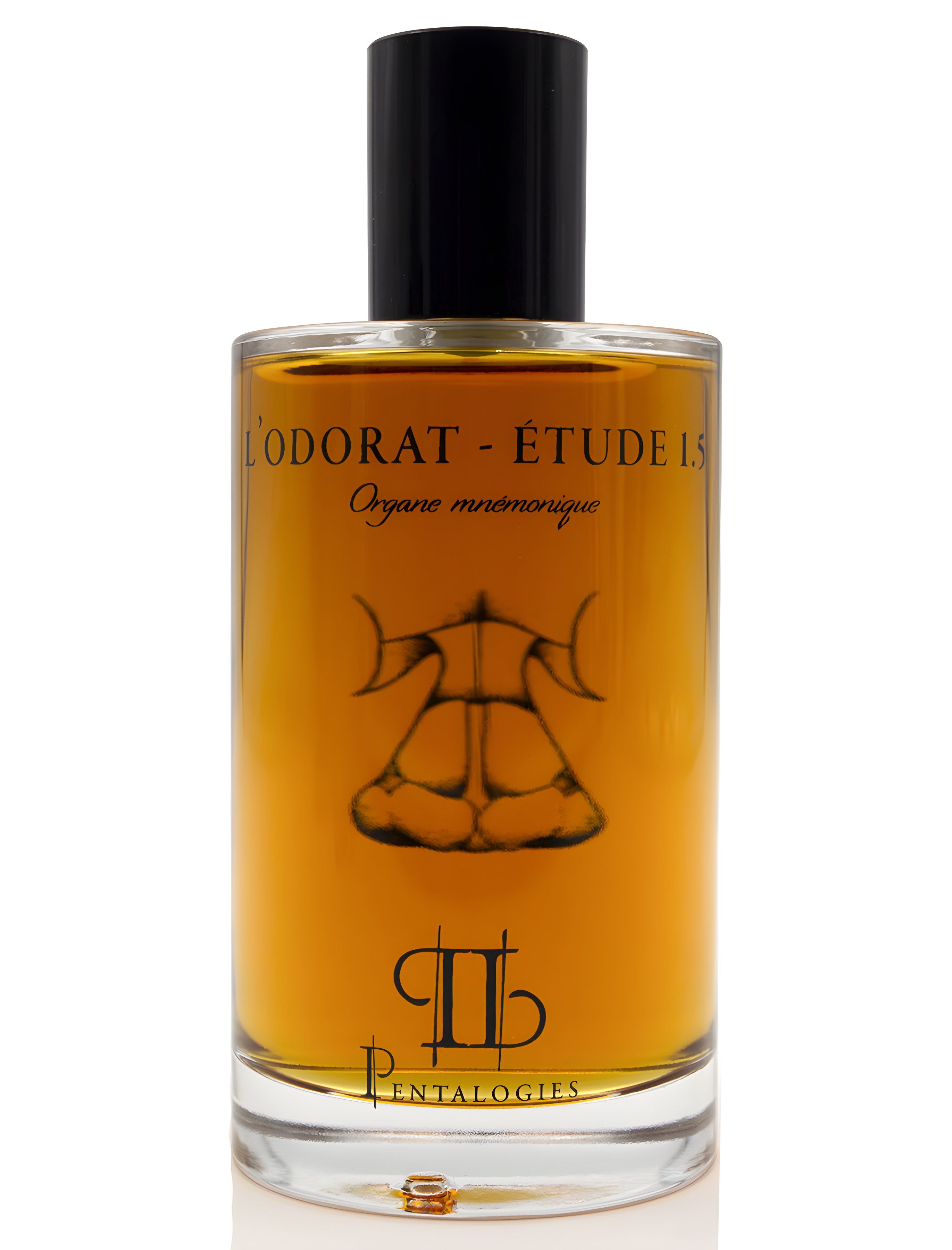 Picture of Etude 1.5: L’Odorat fragrance