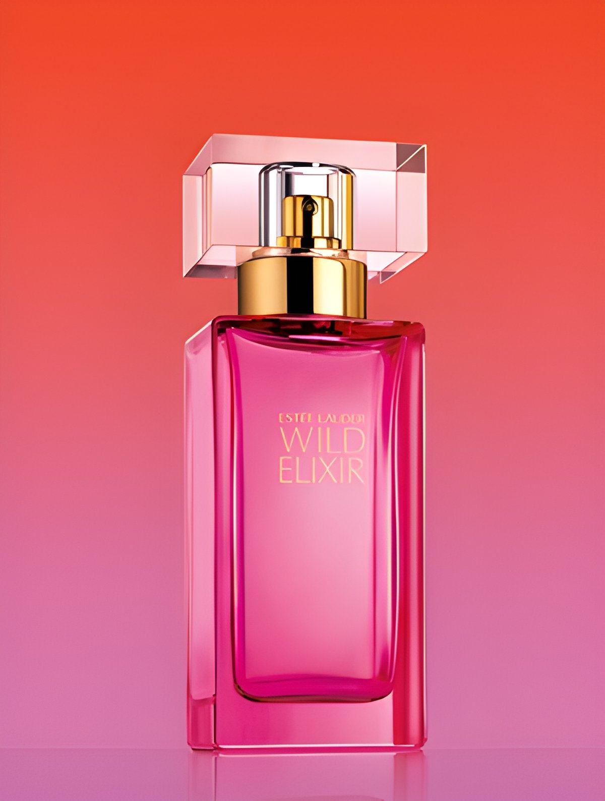 Picture of Wild Elixir fragrance