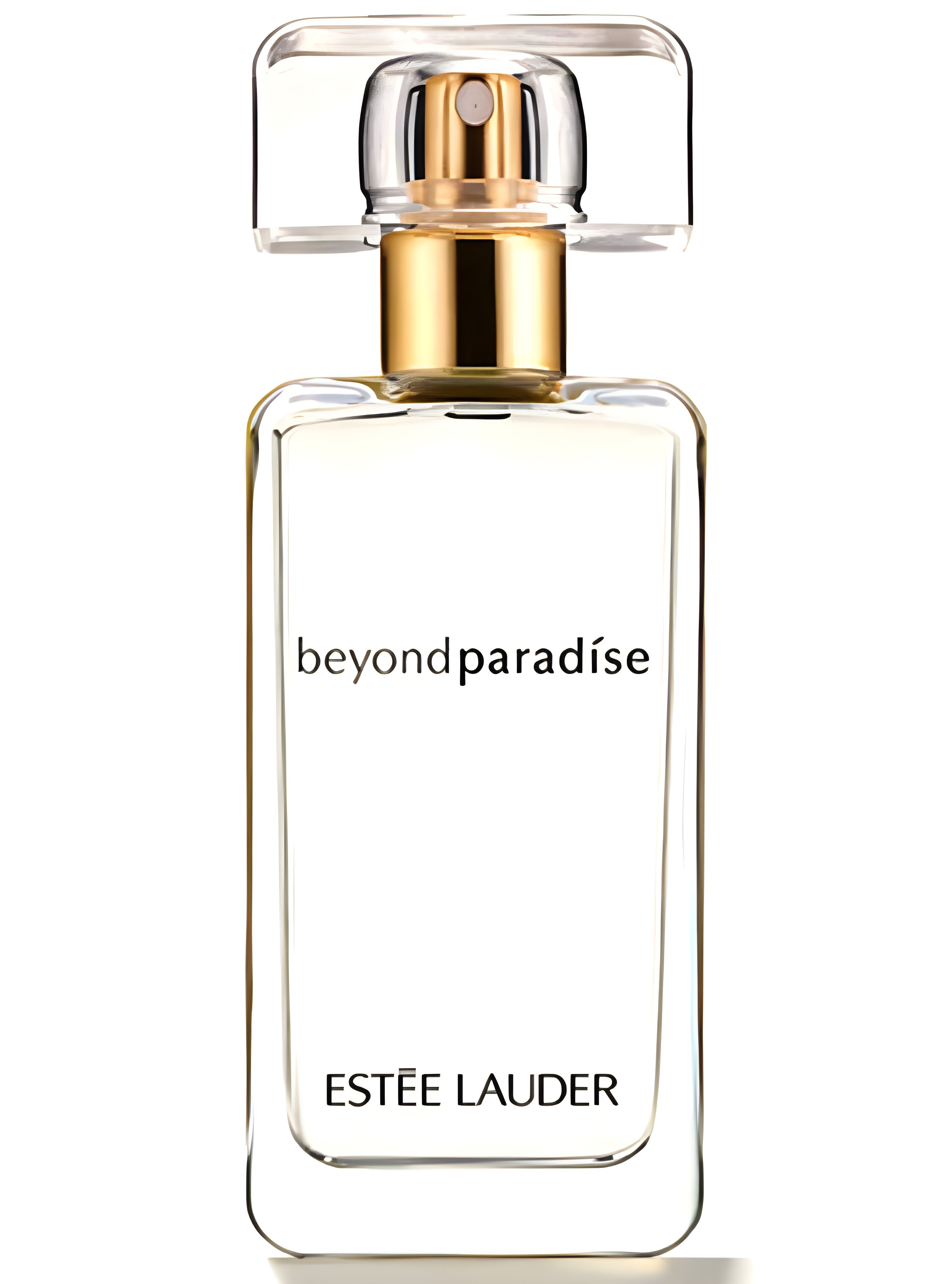 Picture of Beyond Paradise fragrance