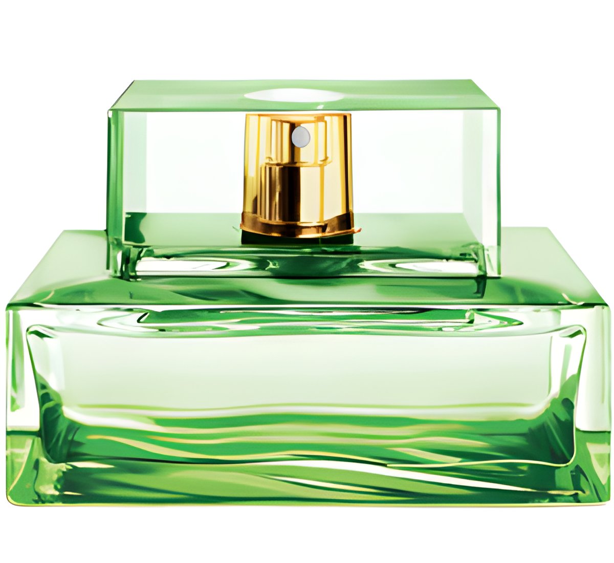 Picture of Island Palm Beach fragrance