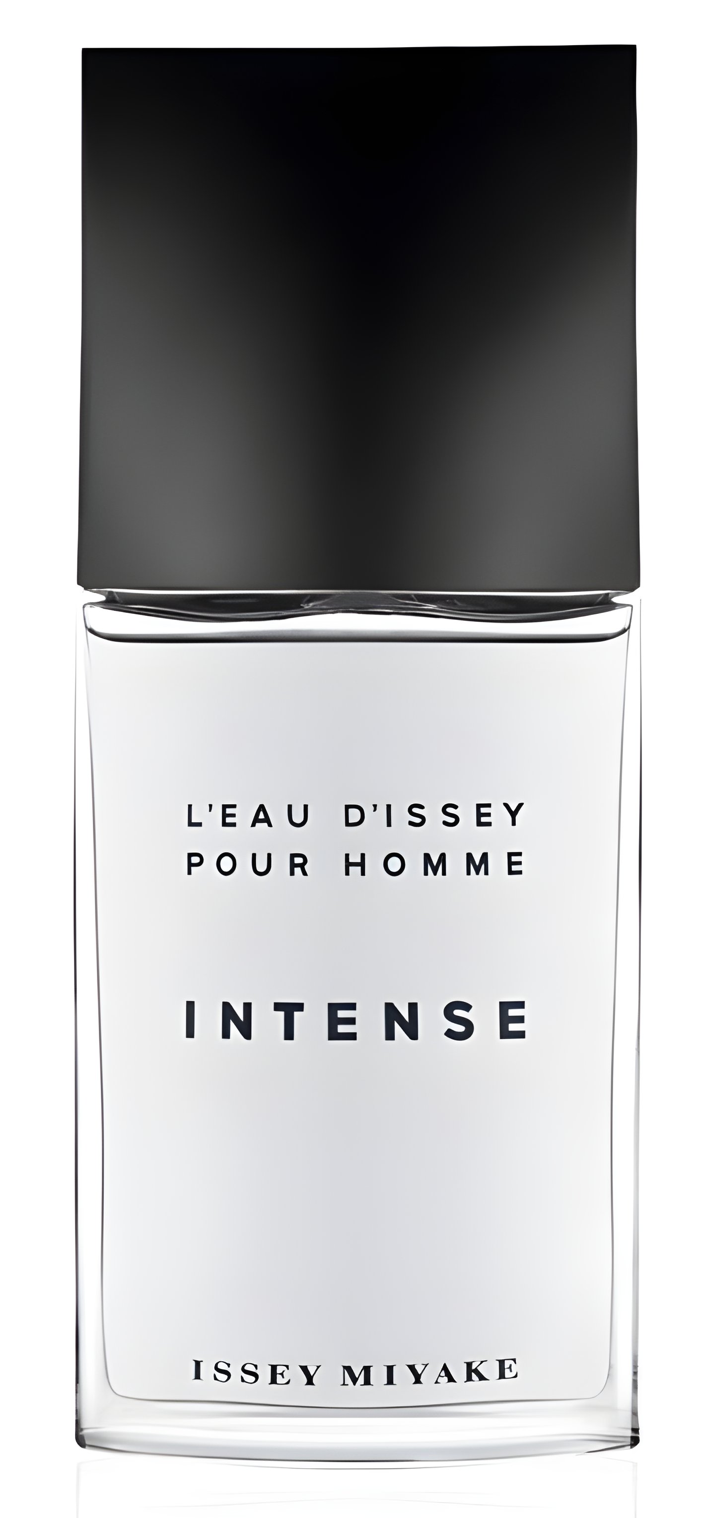 Picture of L'Eau d'Issey Pour Homme Intense fragrance