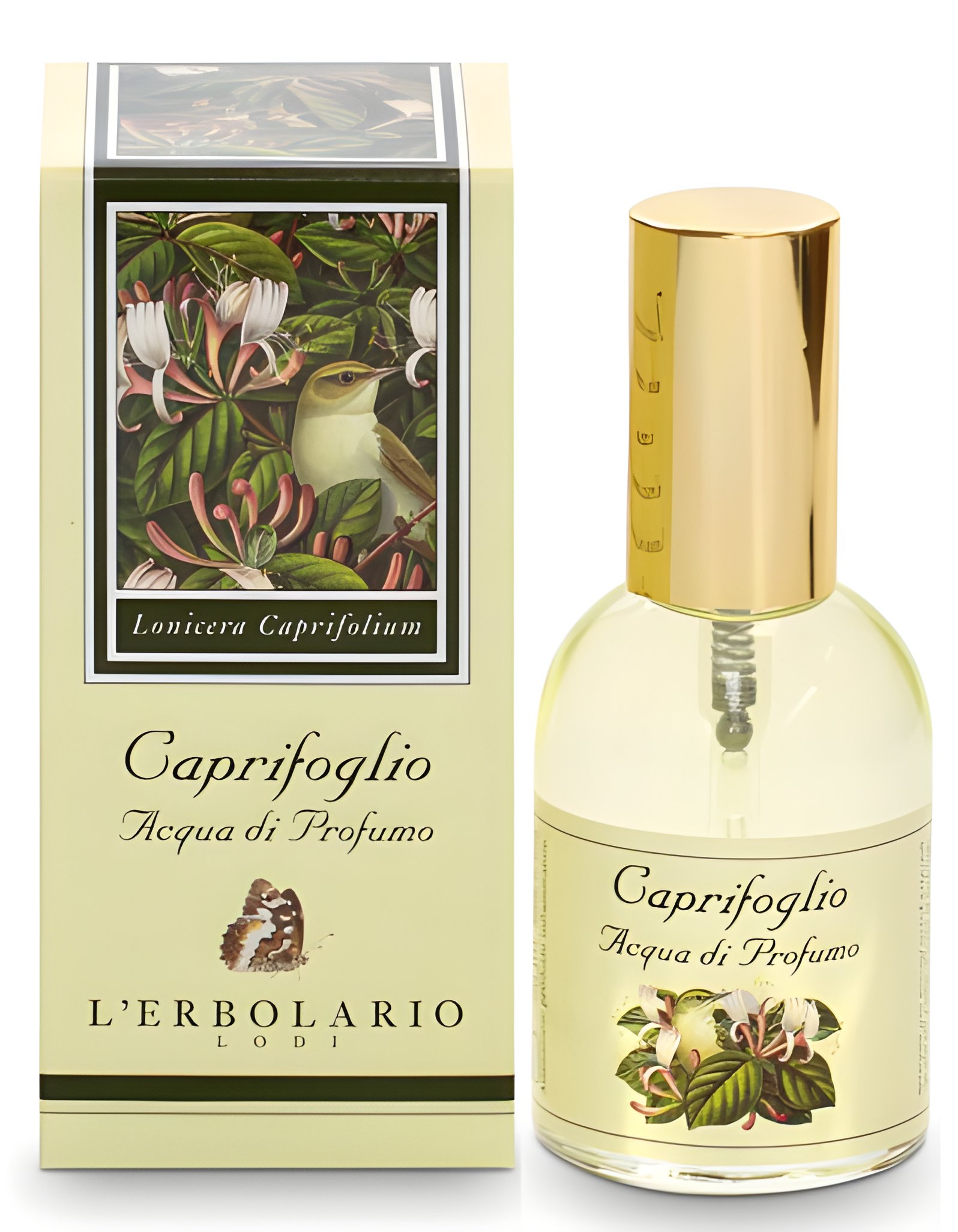 Picture of Caprifoglio fragrance