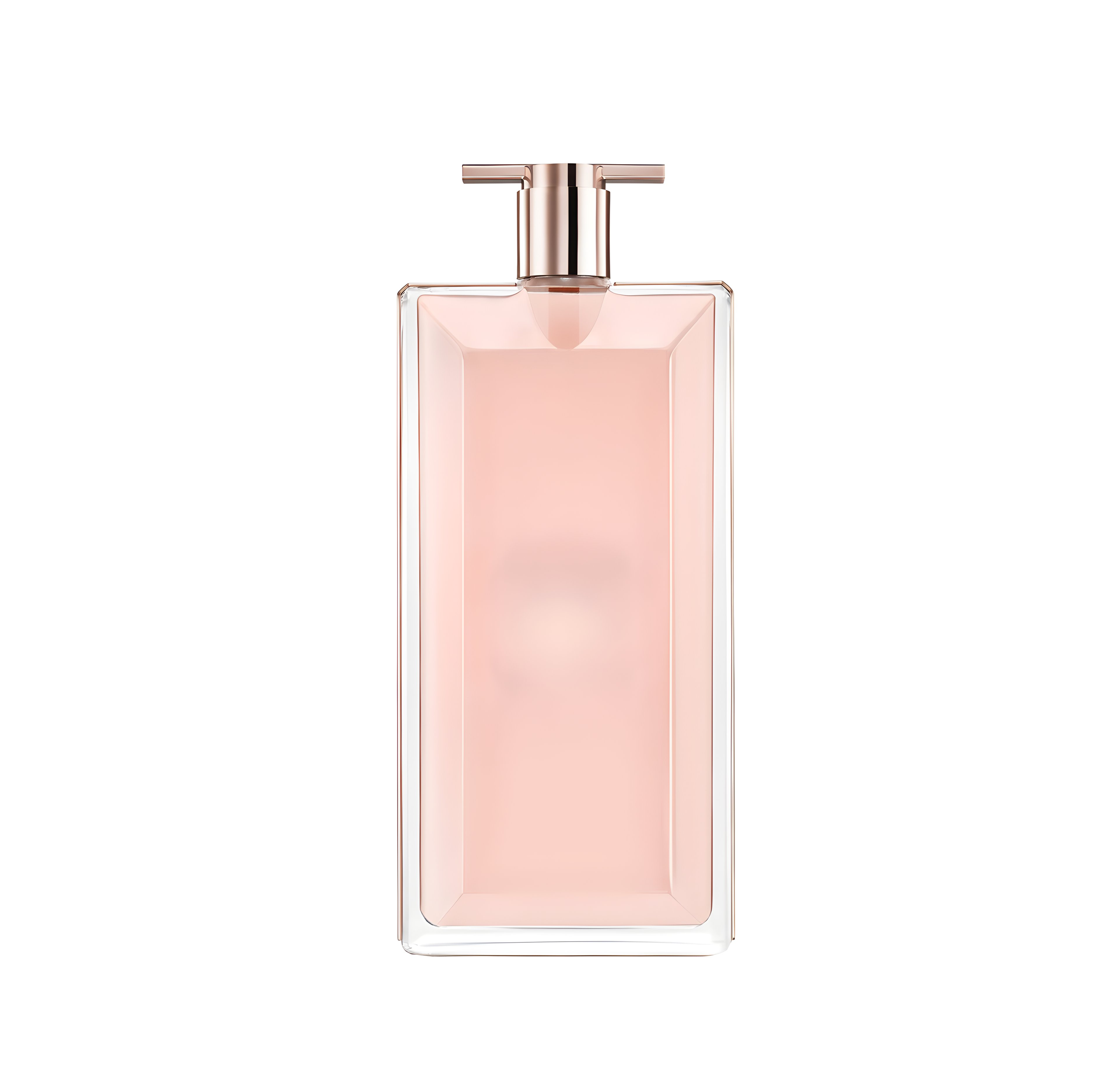 Picture of Idôle fragrance