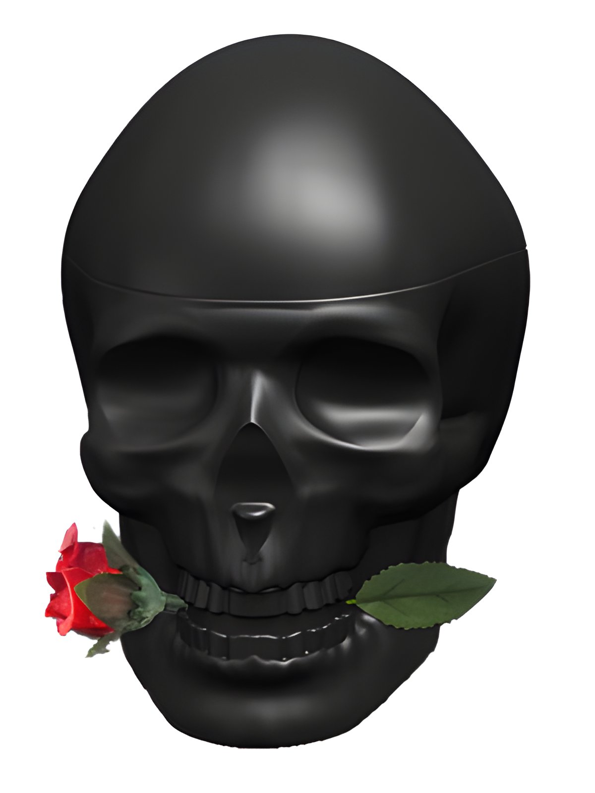 Picture of Ed Hardy Skulls & Roses for Him fragrance