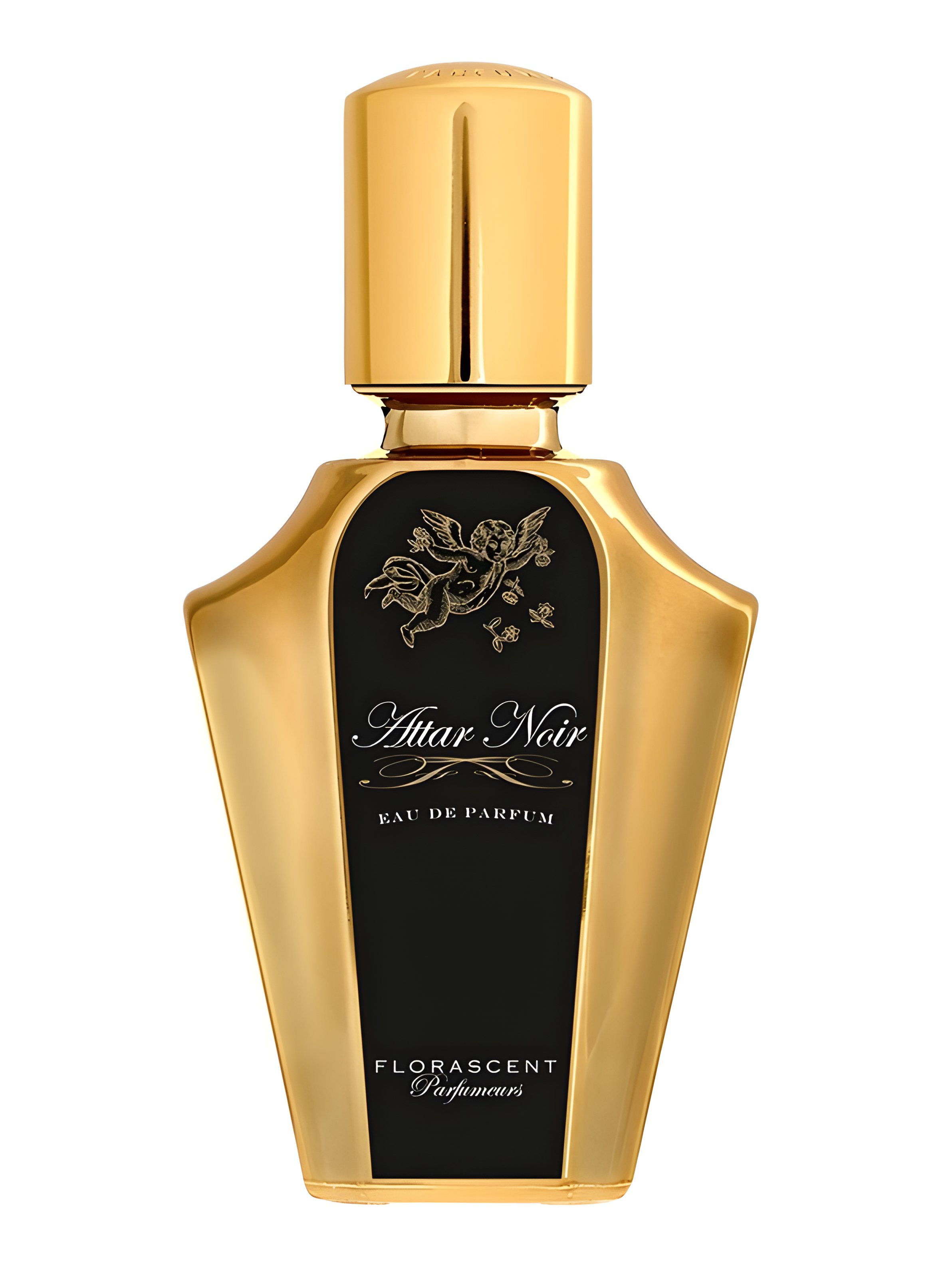 Picture of Attar Noir fragrance