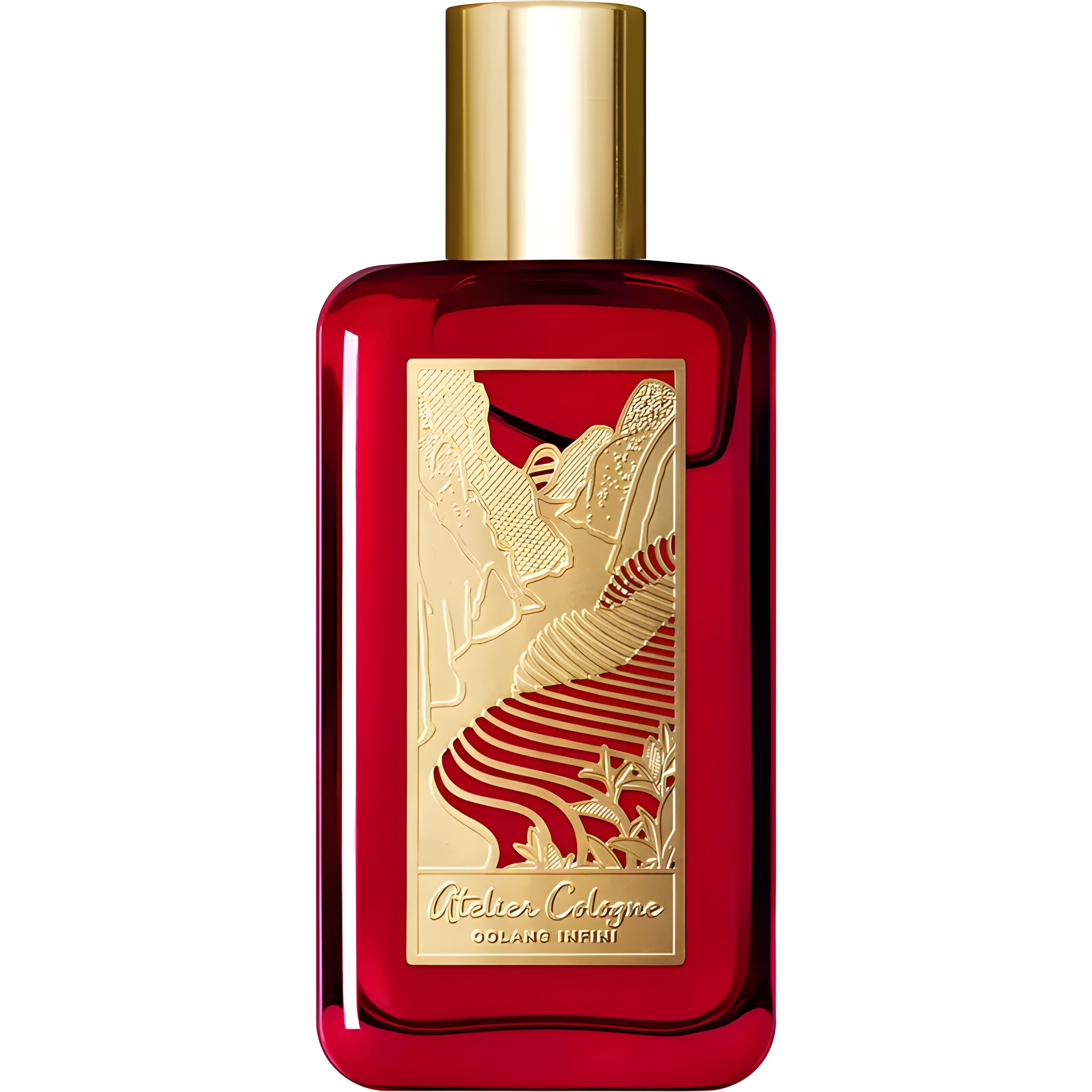 Picture of Oolang Infini Limited Edition fragrance