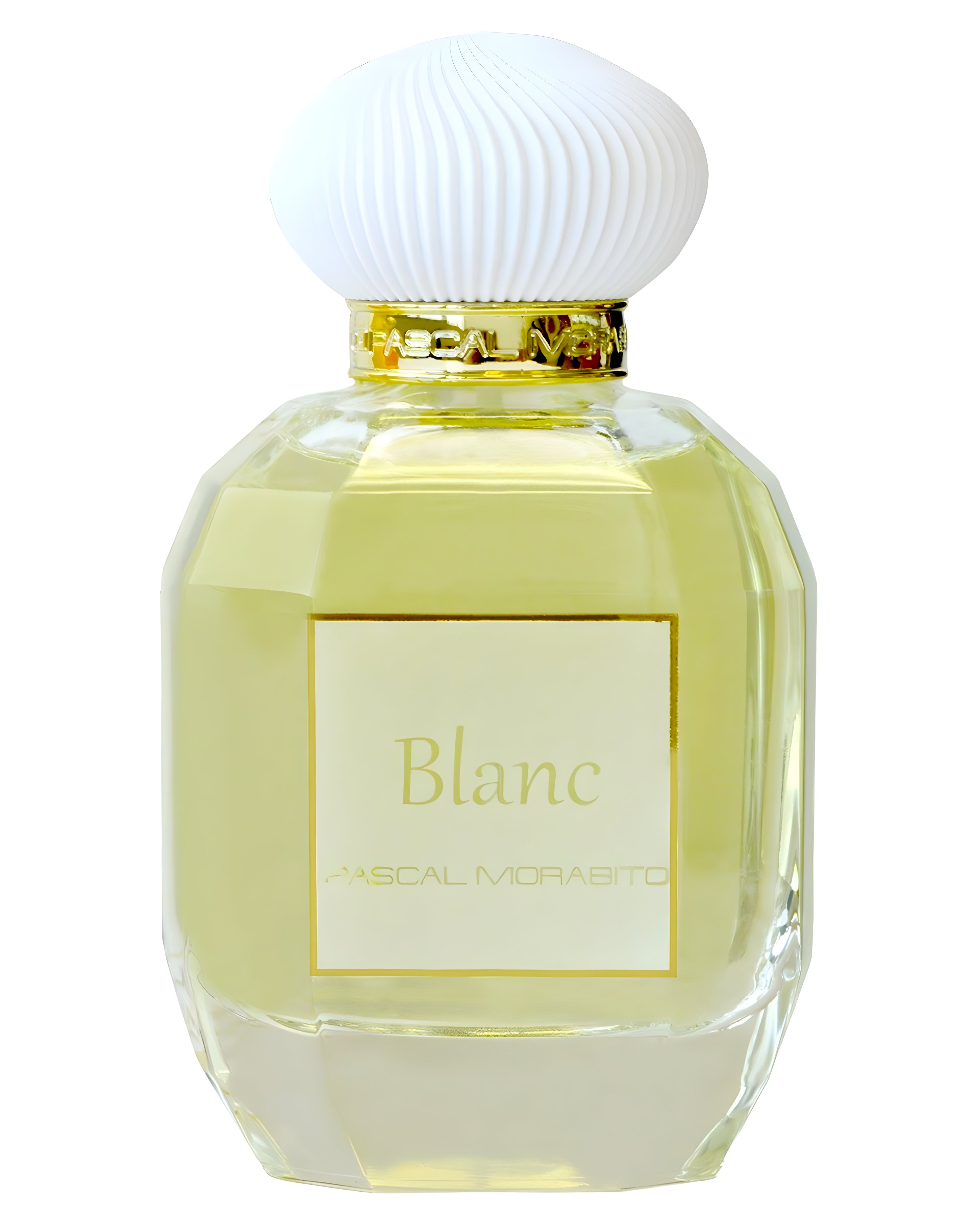 Picture of Sultan Blanc fragrance