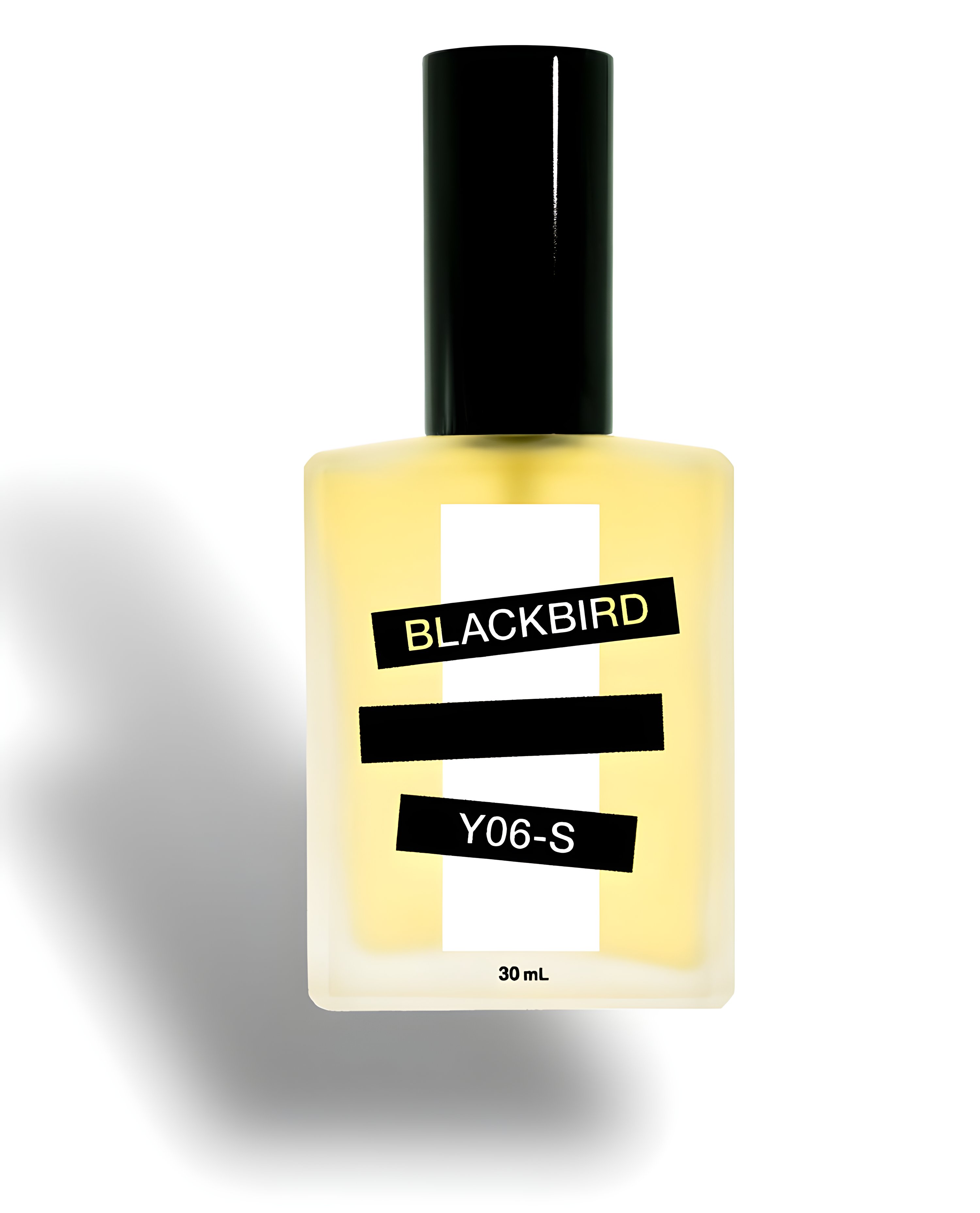 Picture of Y06-S fragrance