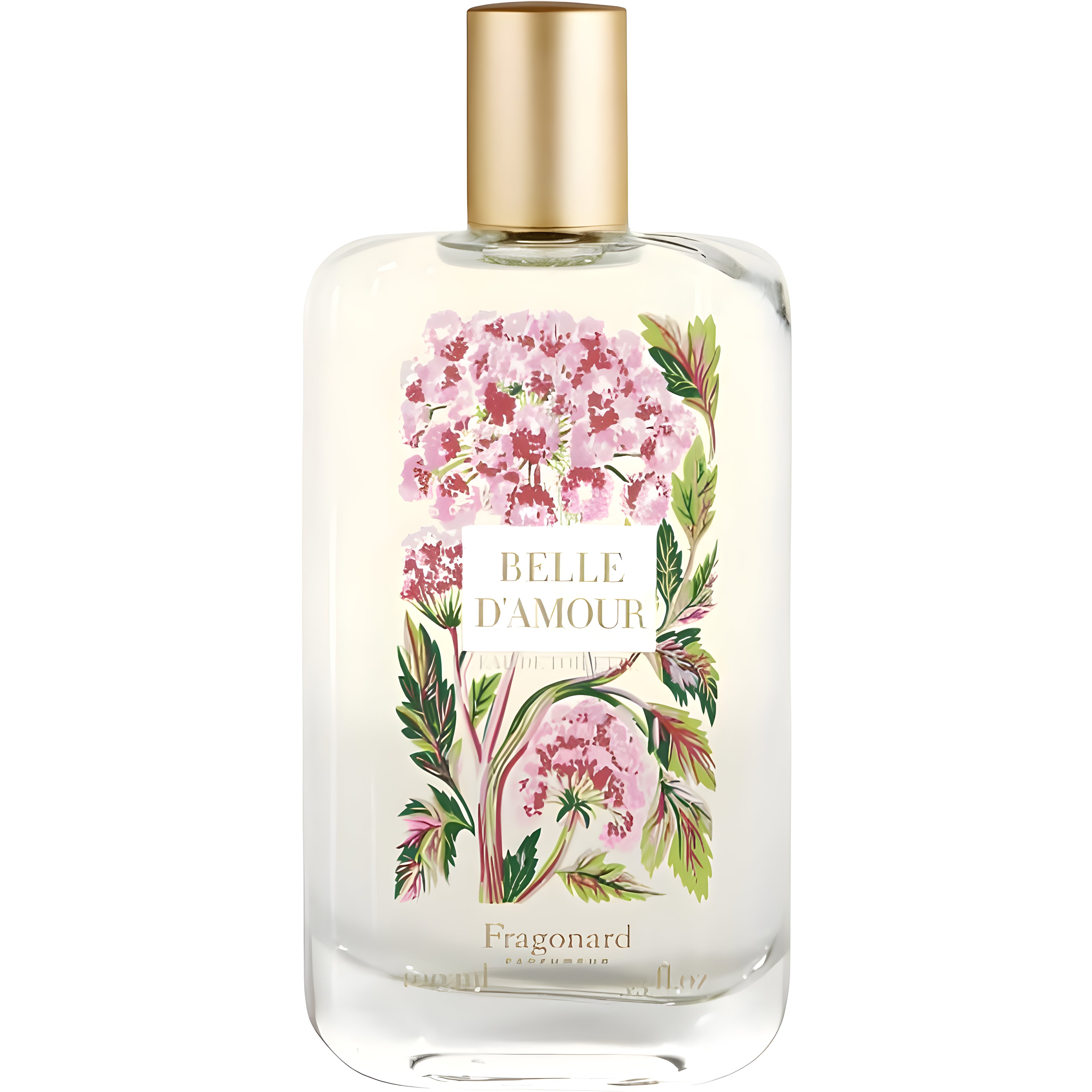 Picture of Belle d'Amour fragrance