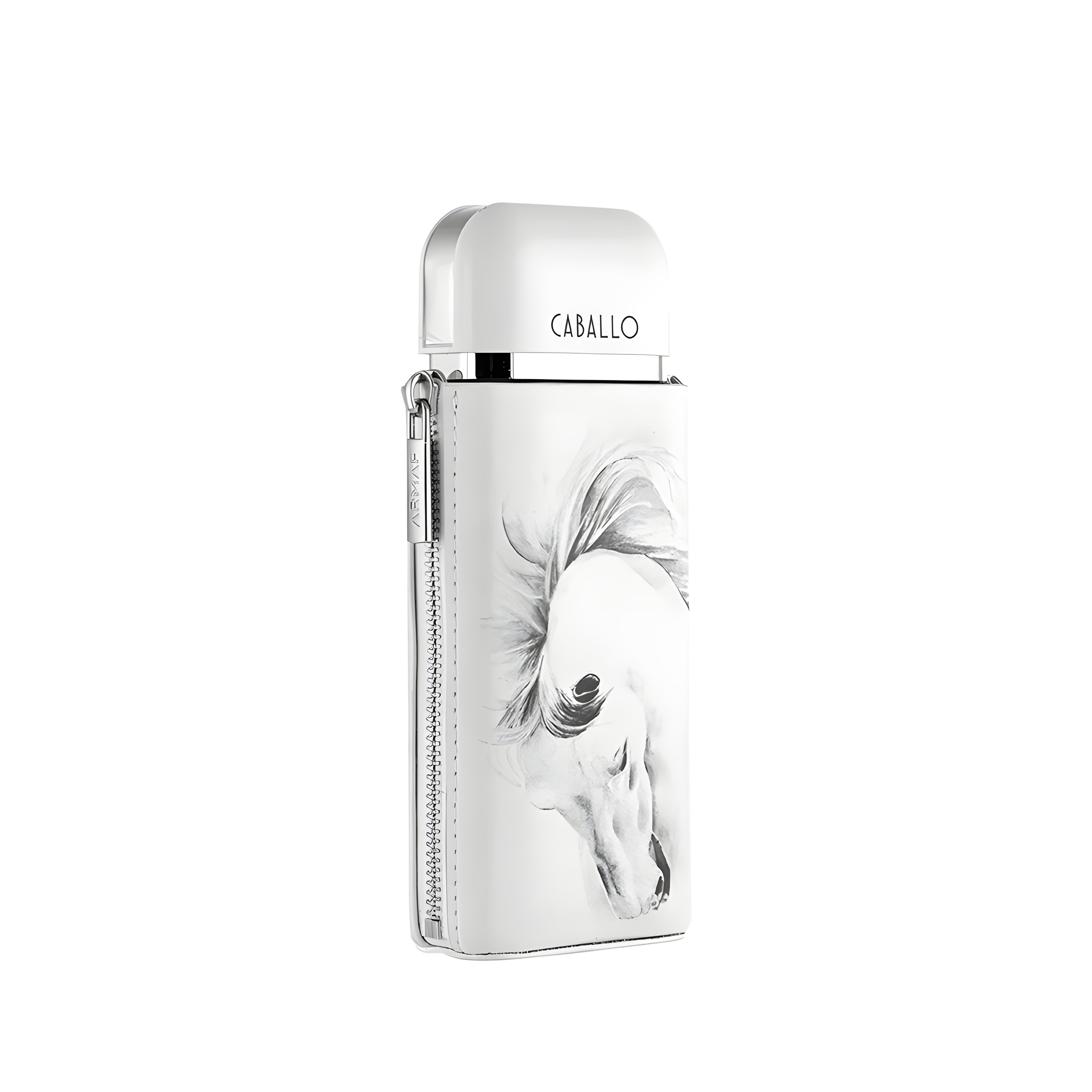 Picture of Caballo Pour Homme fragrance