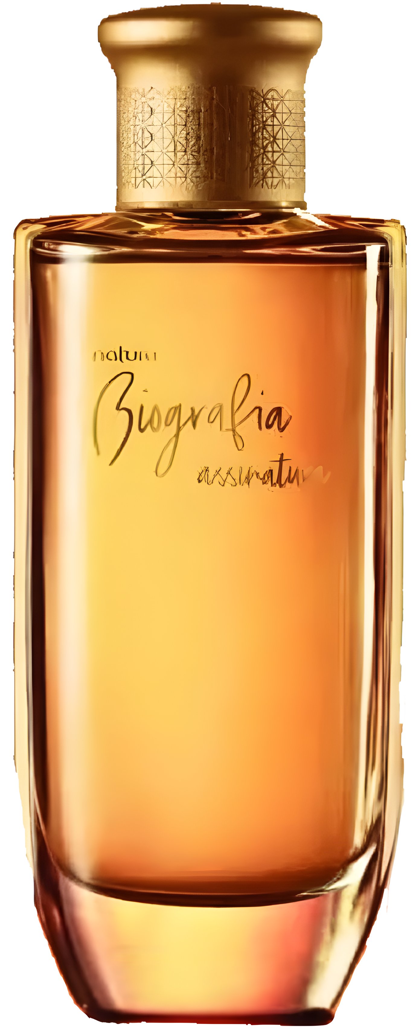 Picture of Biografia Assinatura fragrance