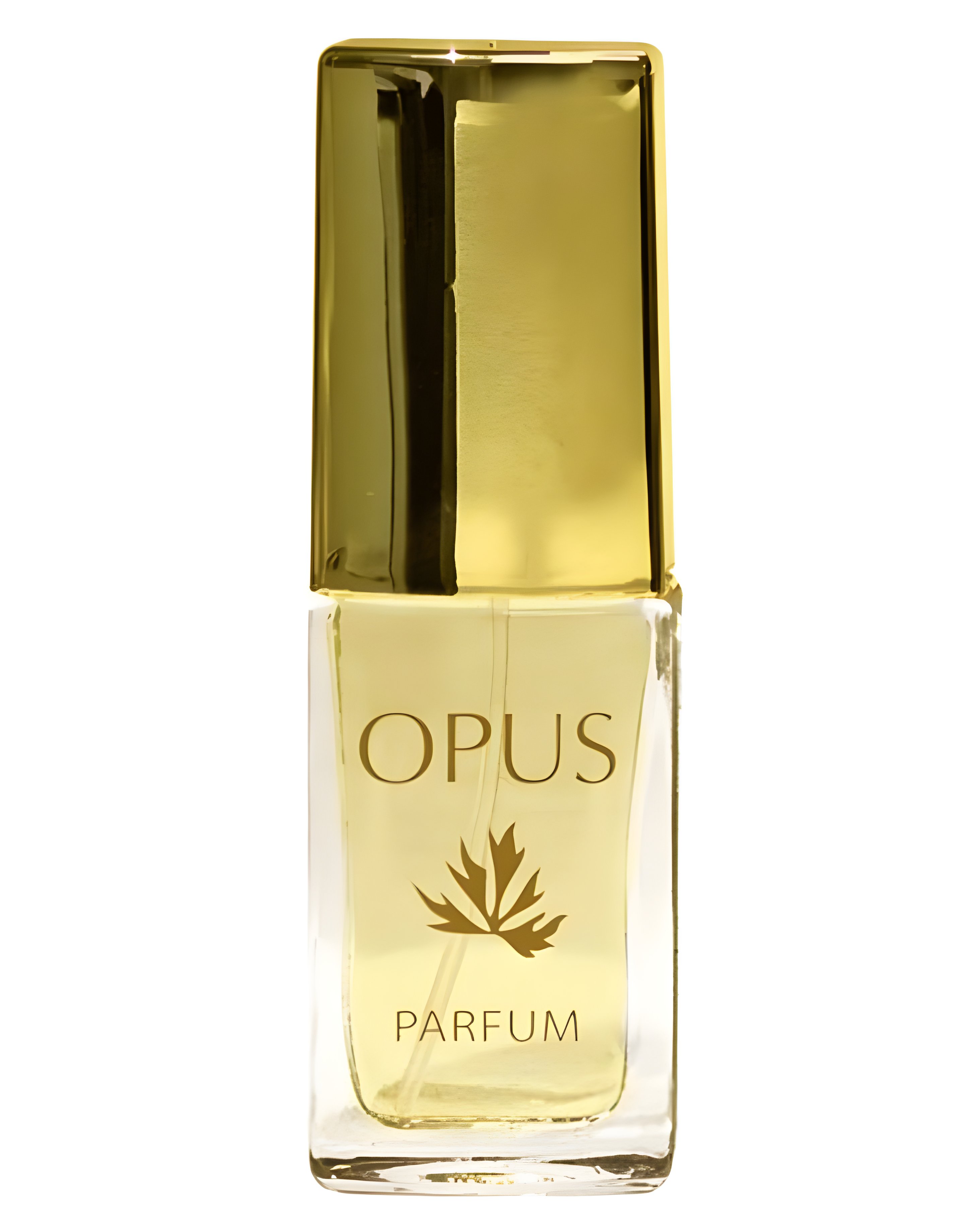 Picture of Opus fragrance