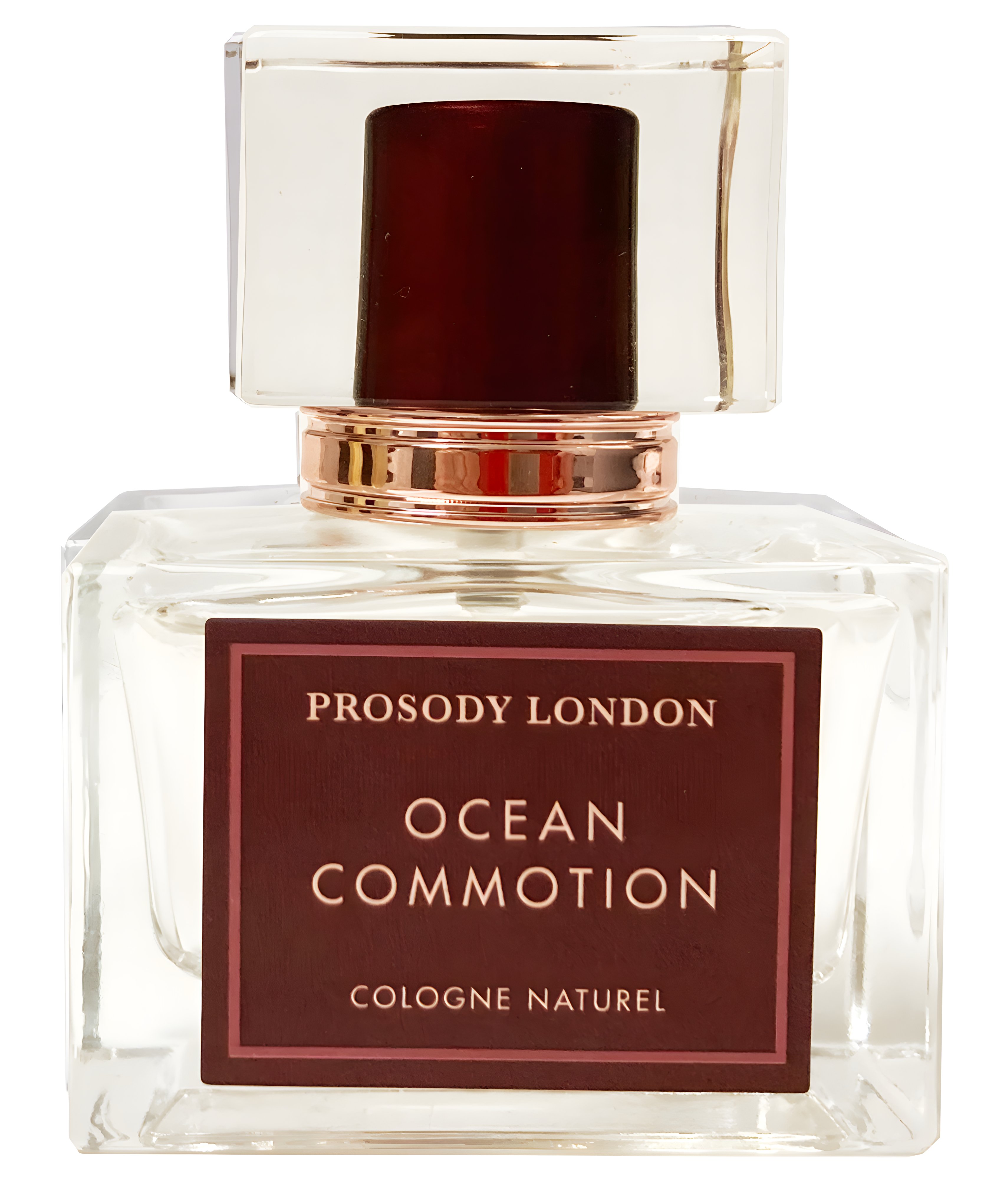 Picture of Ocean Commotion fragrance