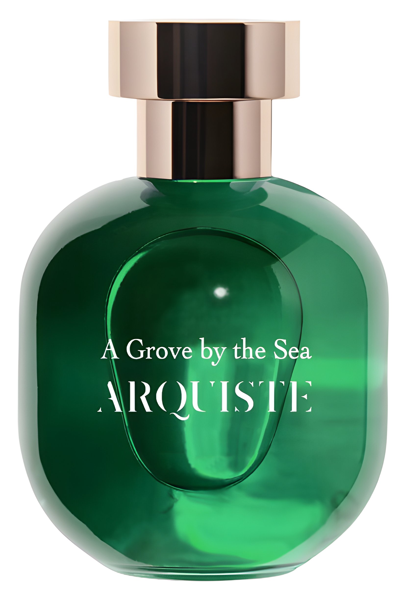 Picture of A Grove by the Sea fragrance