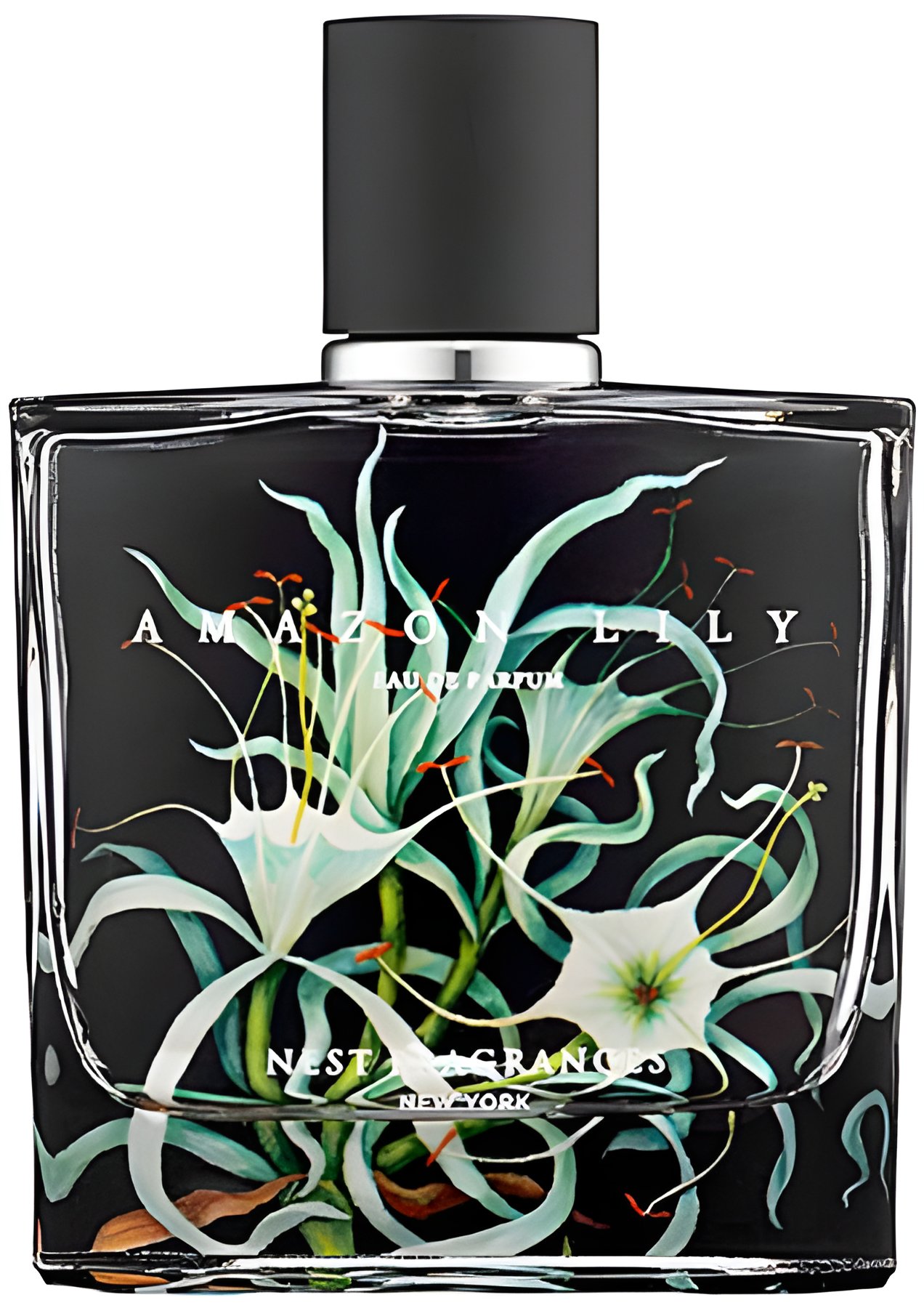 Picture of Amazon Lily fragrance