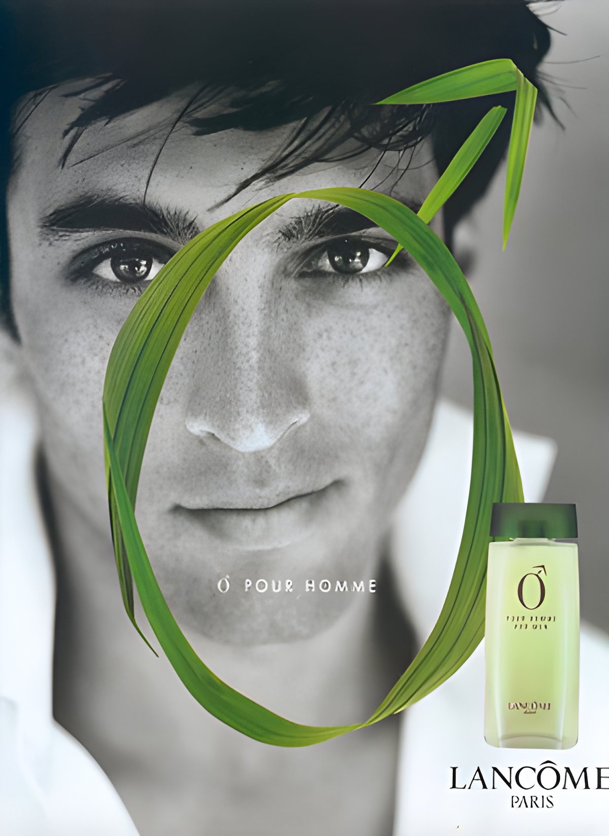 Picture of O Pour Homme fragrance