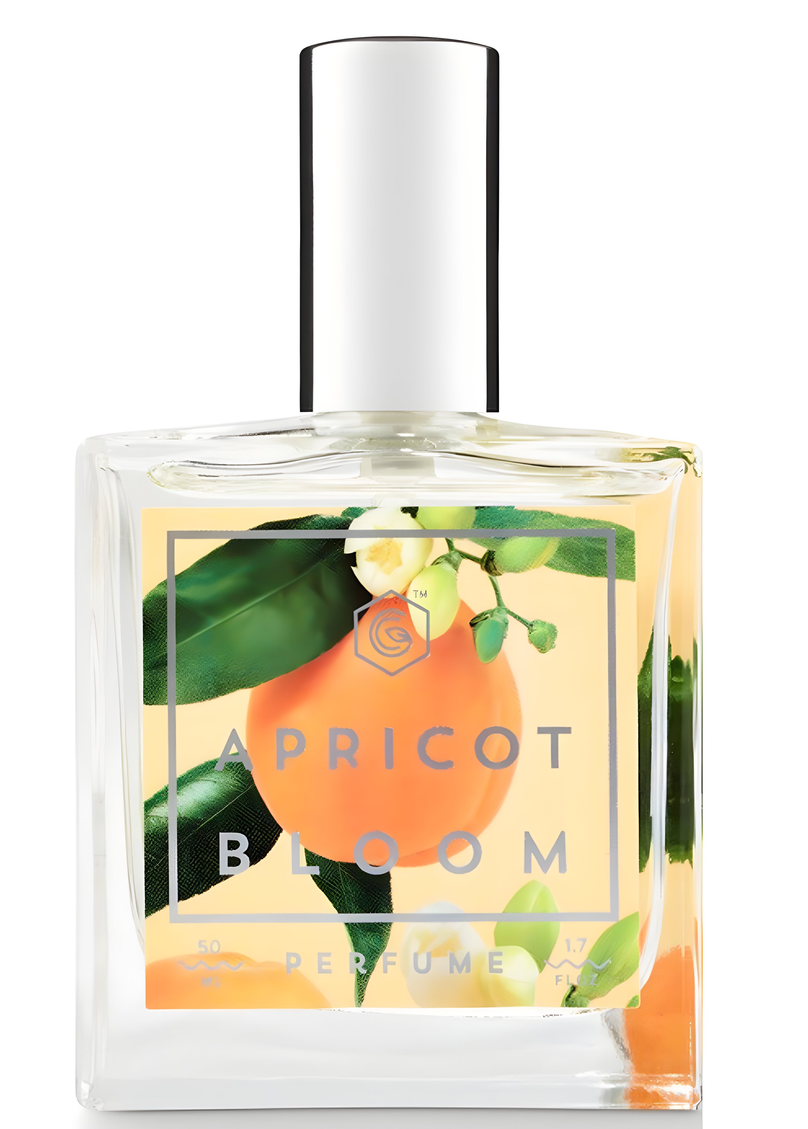 Picture of Apricot Bloom fragrance