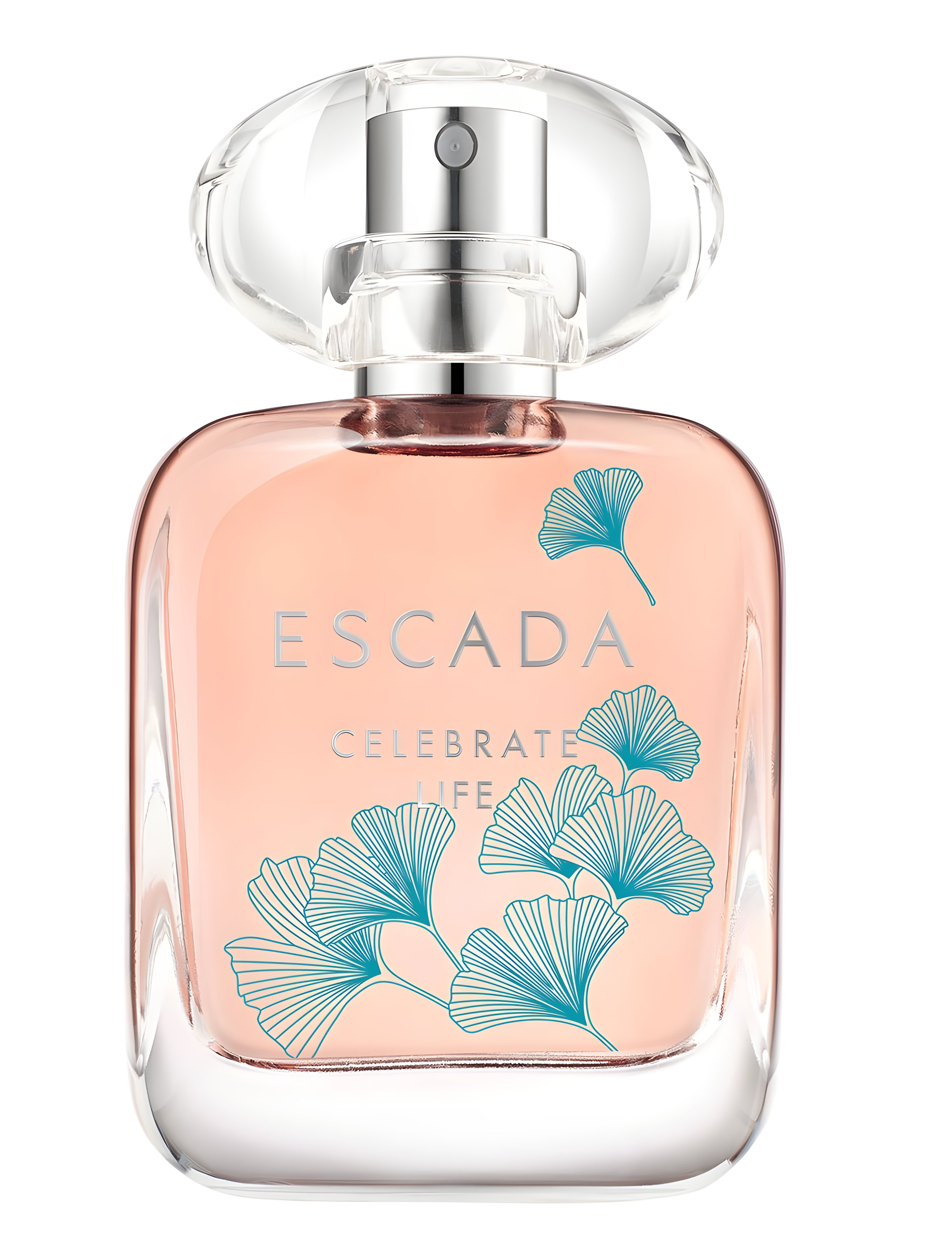 Picture of Celebrate Life fragrance