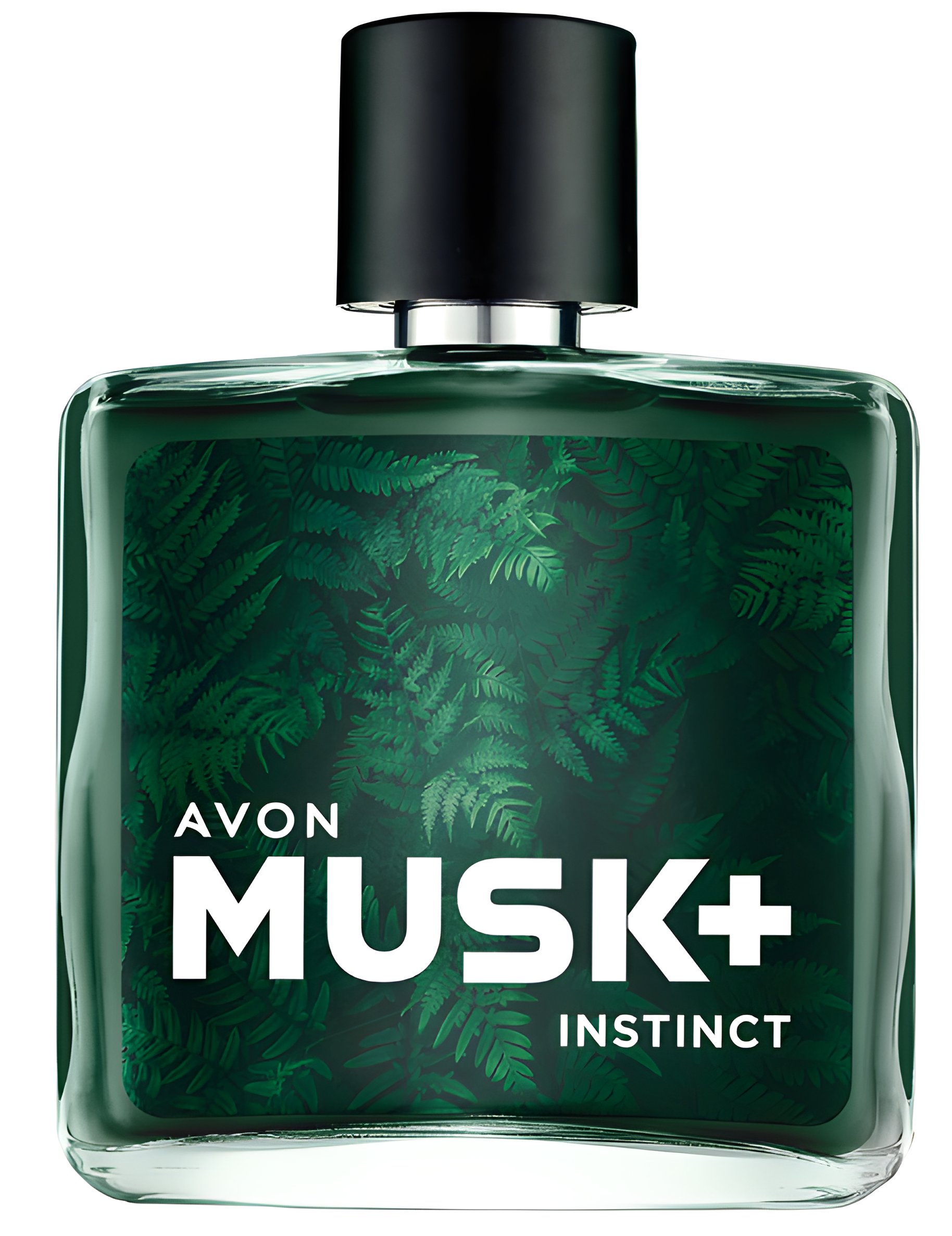 Picture of Musk + Instinct fragrance