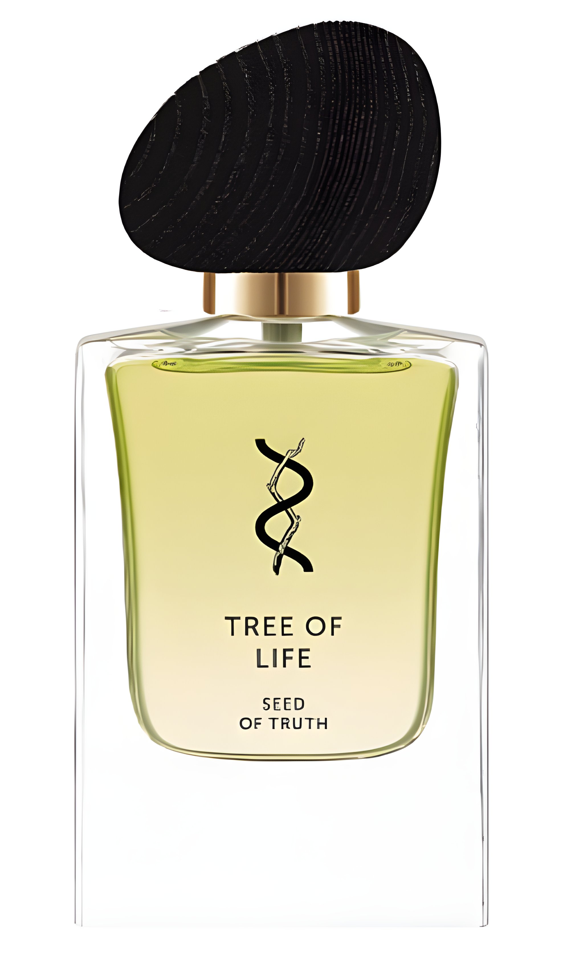 Picture of Seed of Truth fragrance