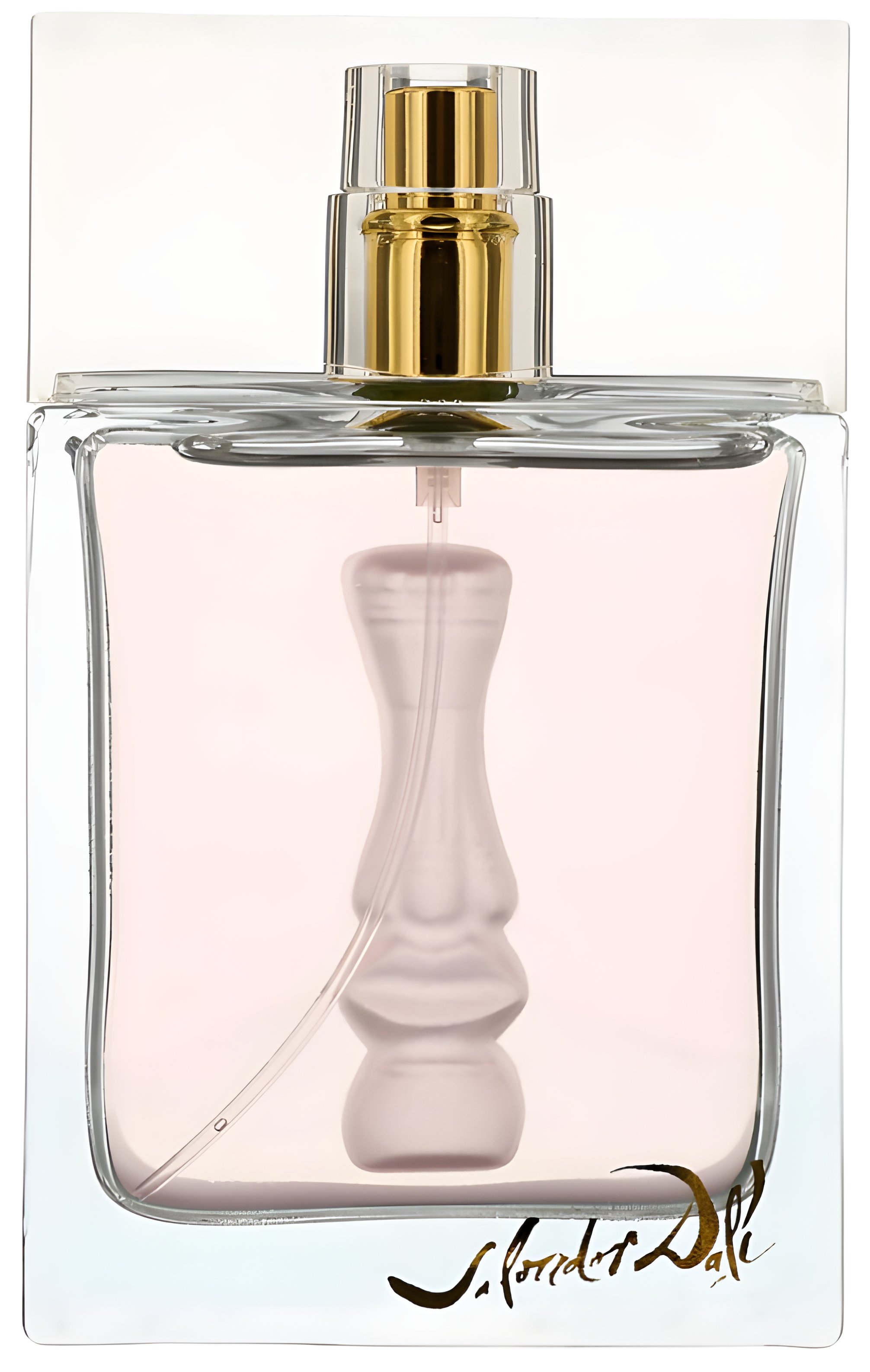 Picture of Angelic Pink fragrance