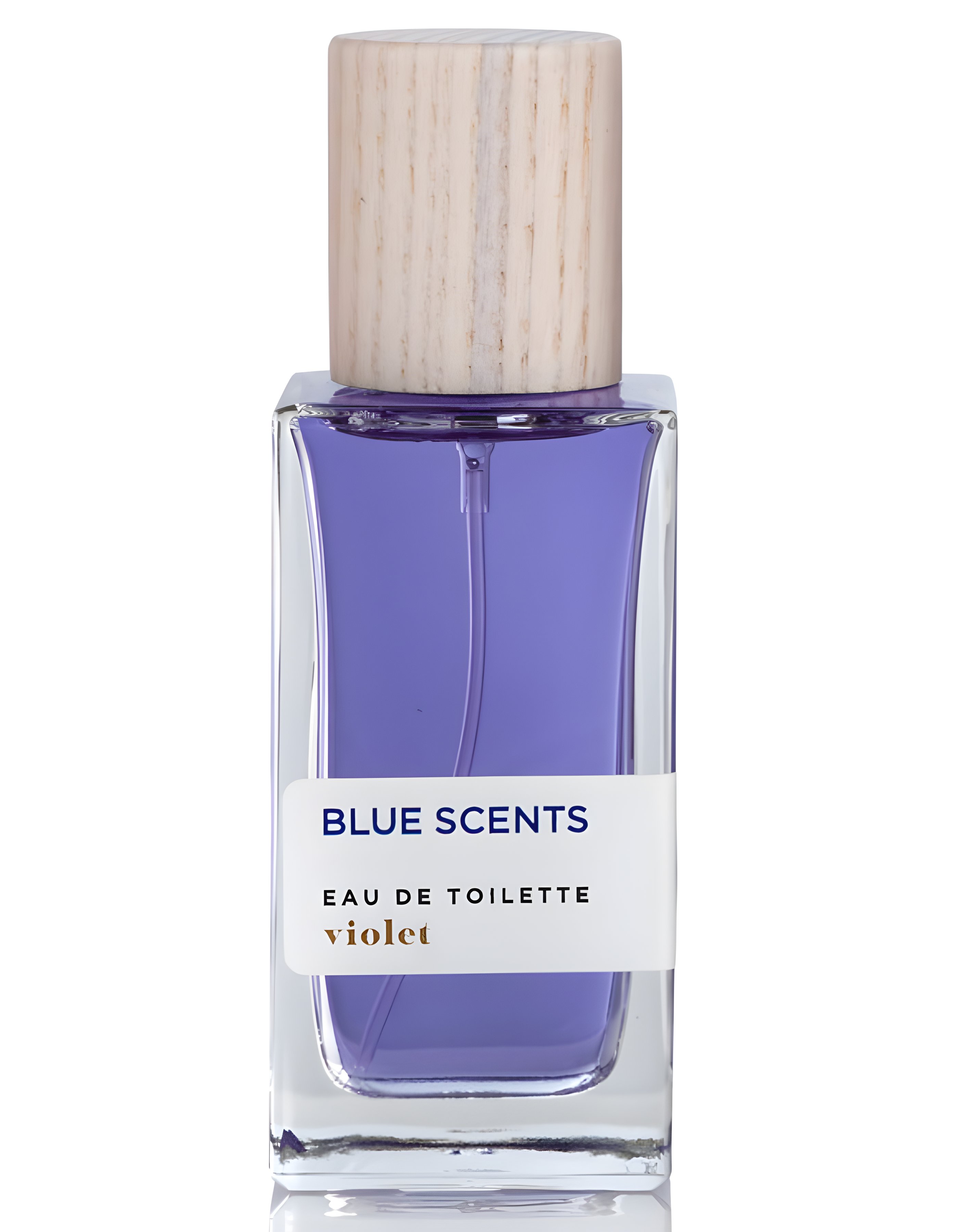 Picture of Violet fragrance