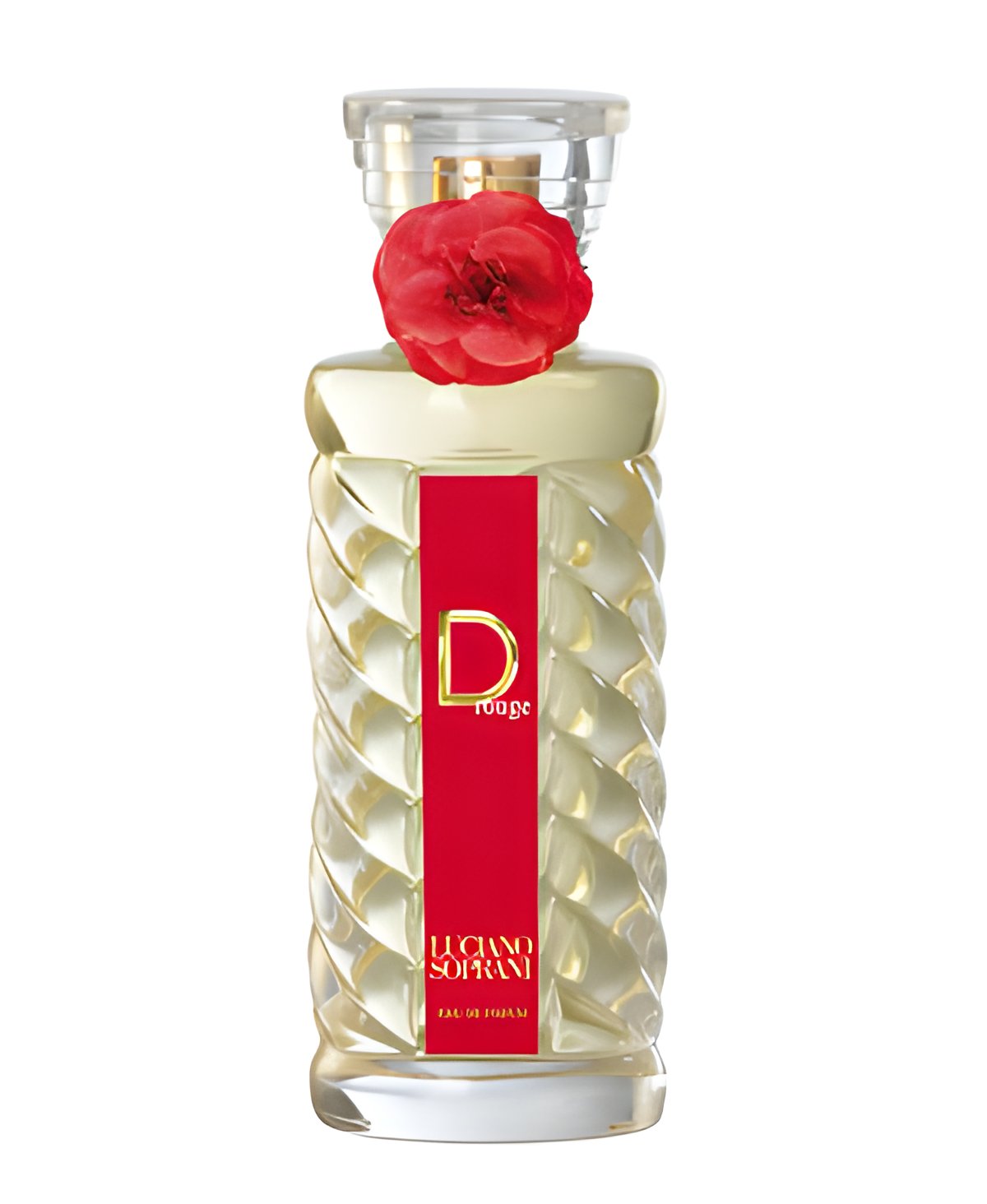 Picture of D Rouge fragrance