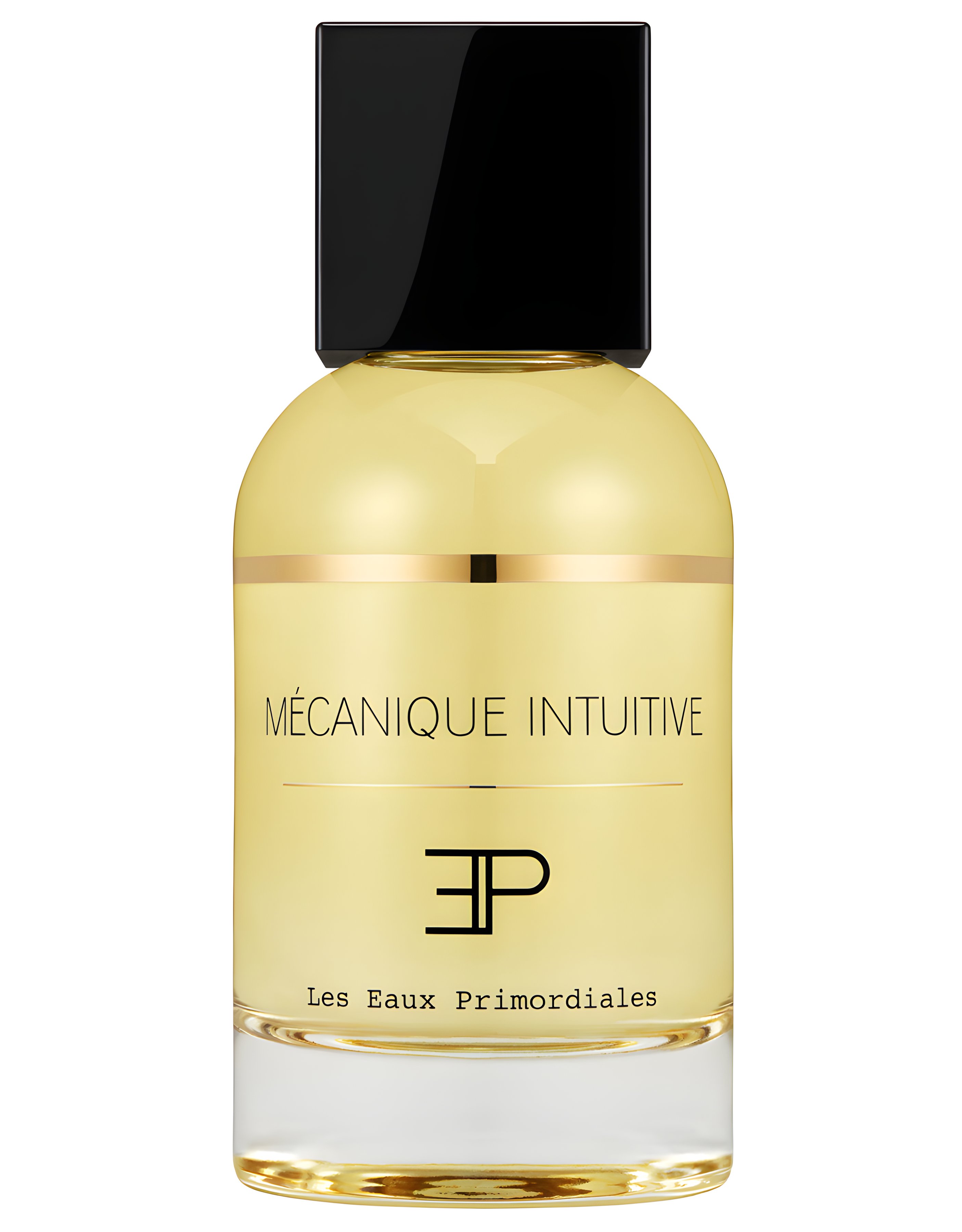 Picture of Mécanique Intuitive fragrance