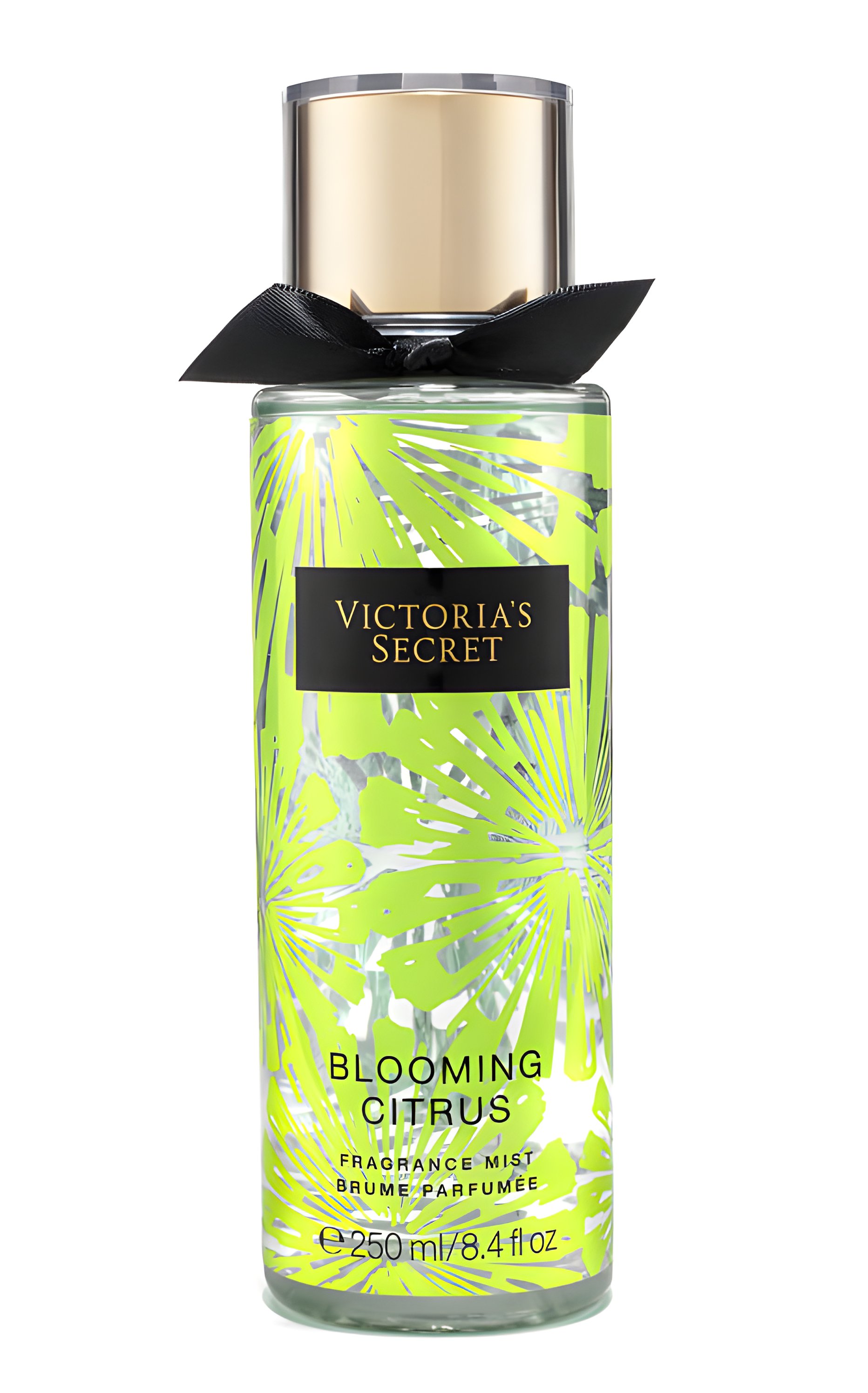 Picture of Blooming Citrus fragrance