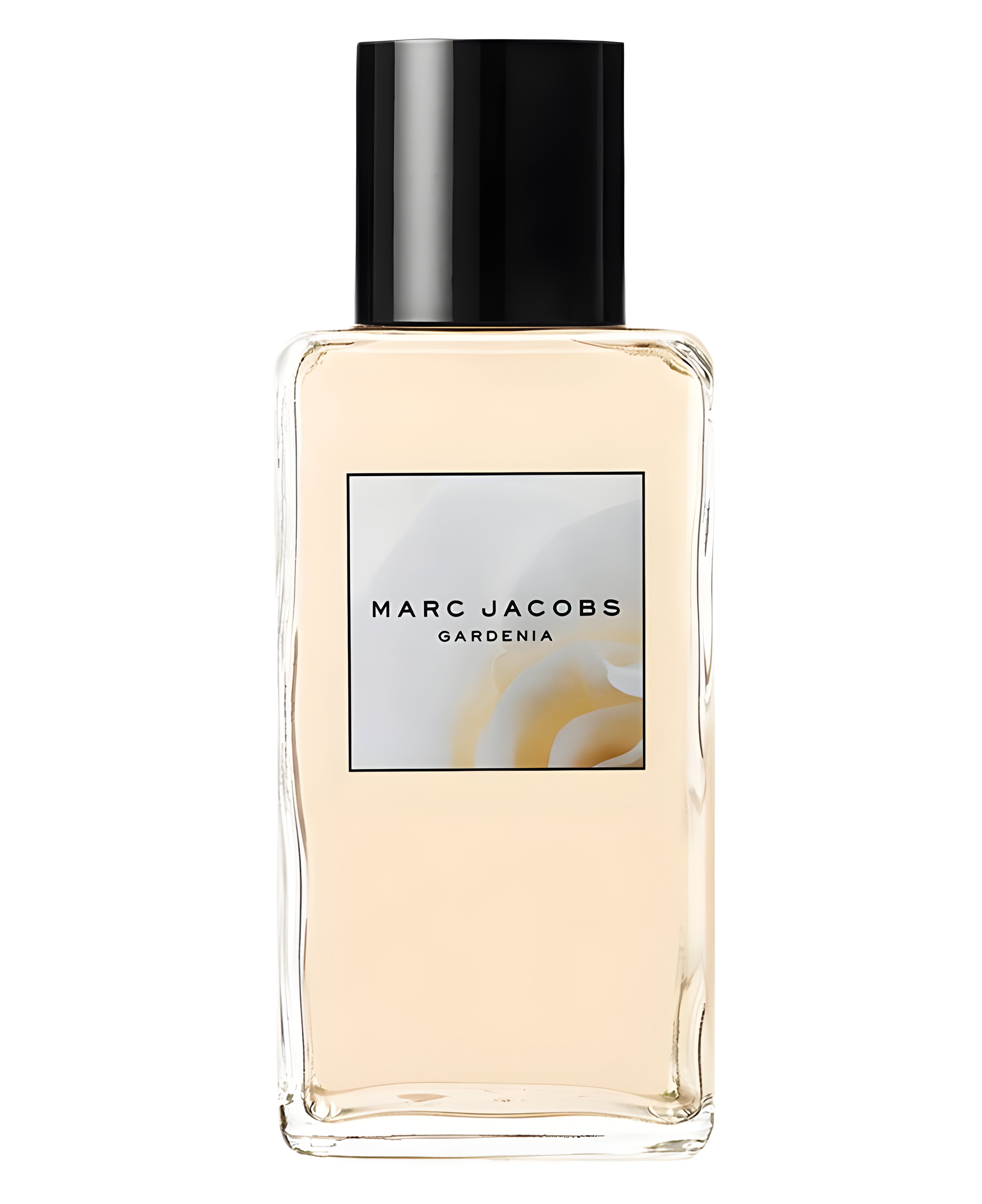 Picture of Marc Jacobs Splash Gardenia fragrance