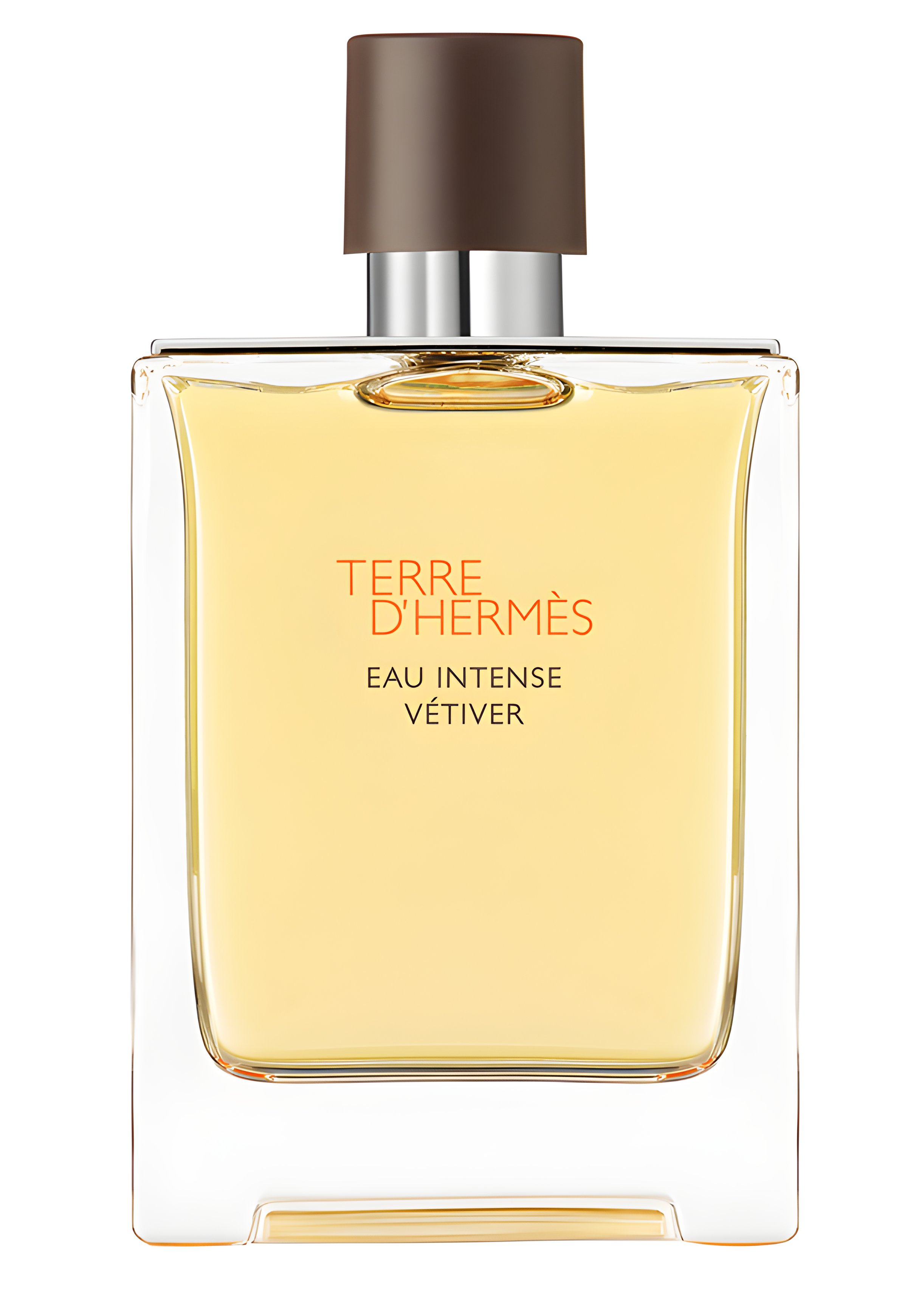 Picture of Terre D'Hermes Eau Intense Vetiver fragrance