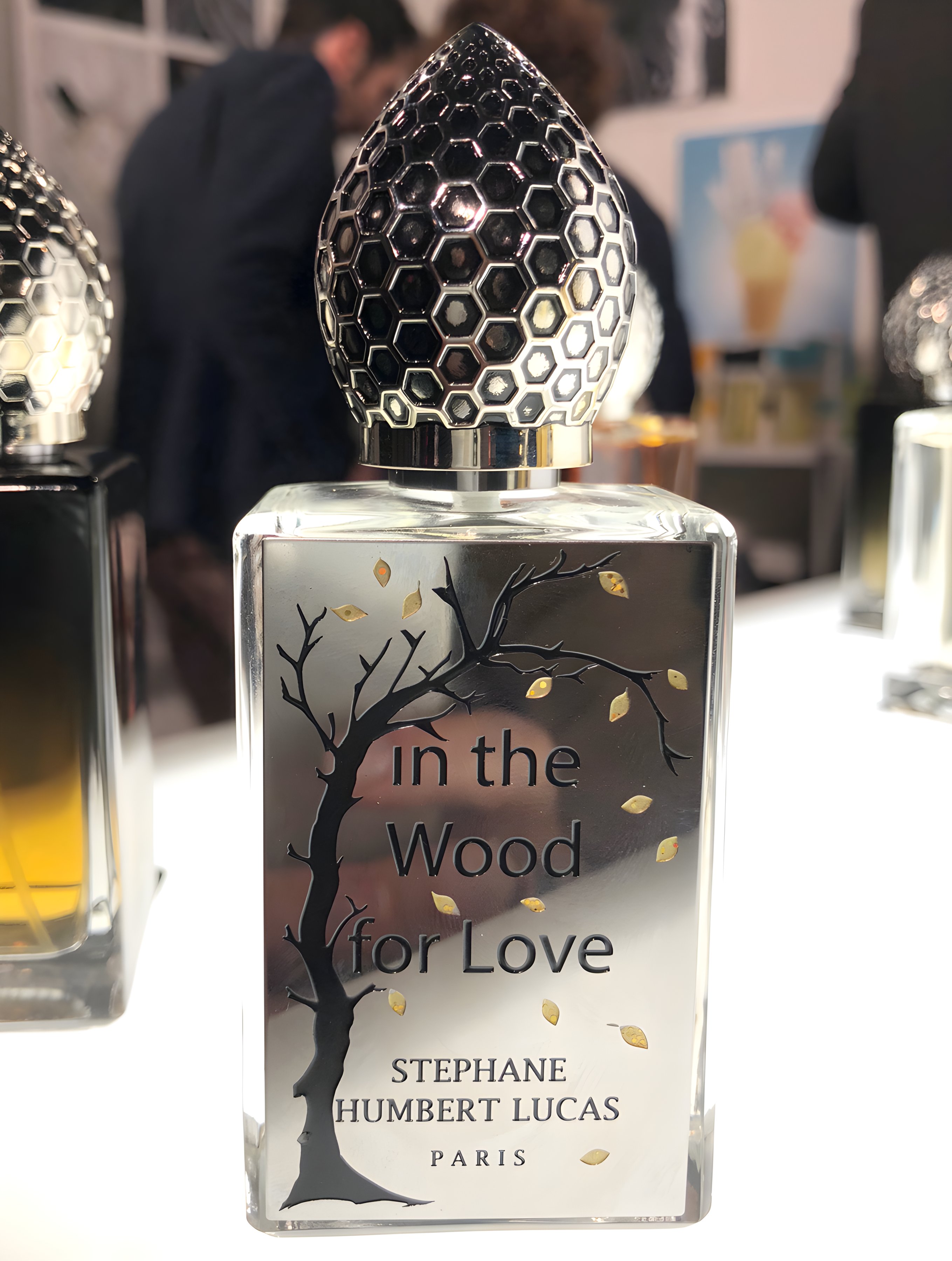 Picture of In the Wood for Love fragrance