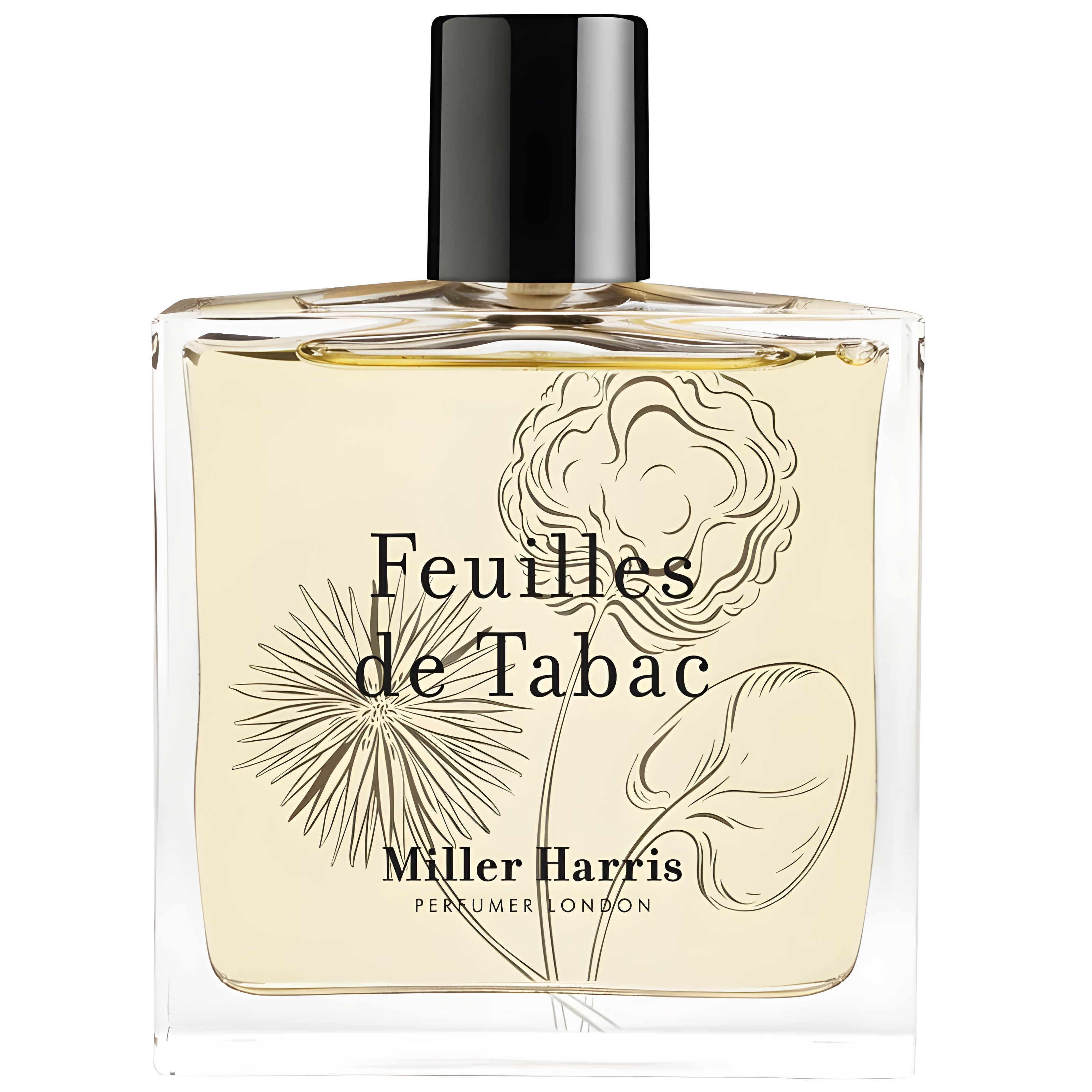 Picture of Feuilles de Tabac fragrance