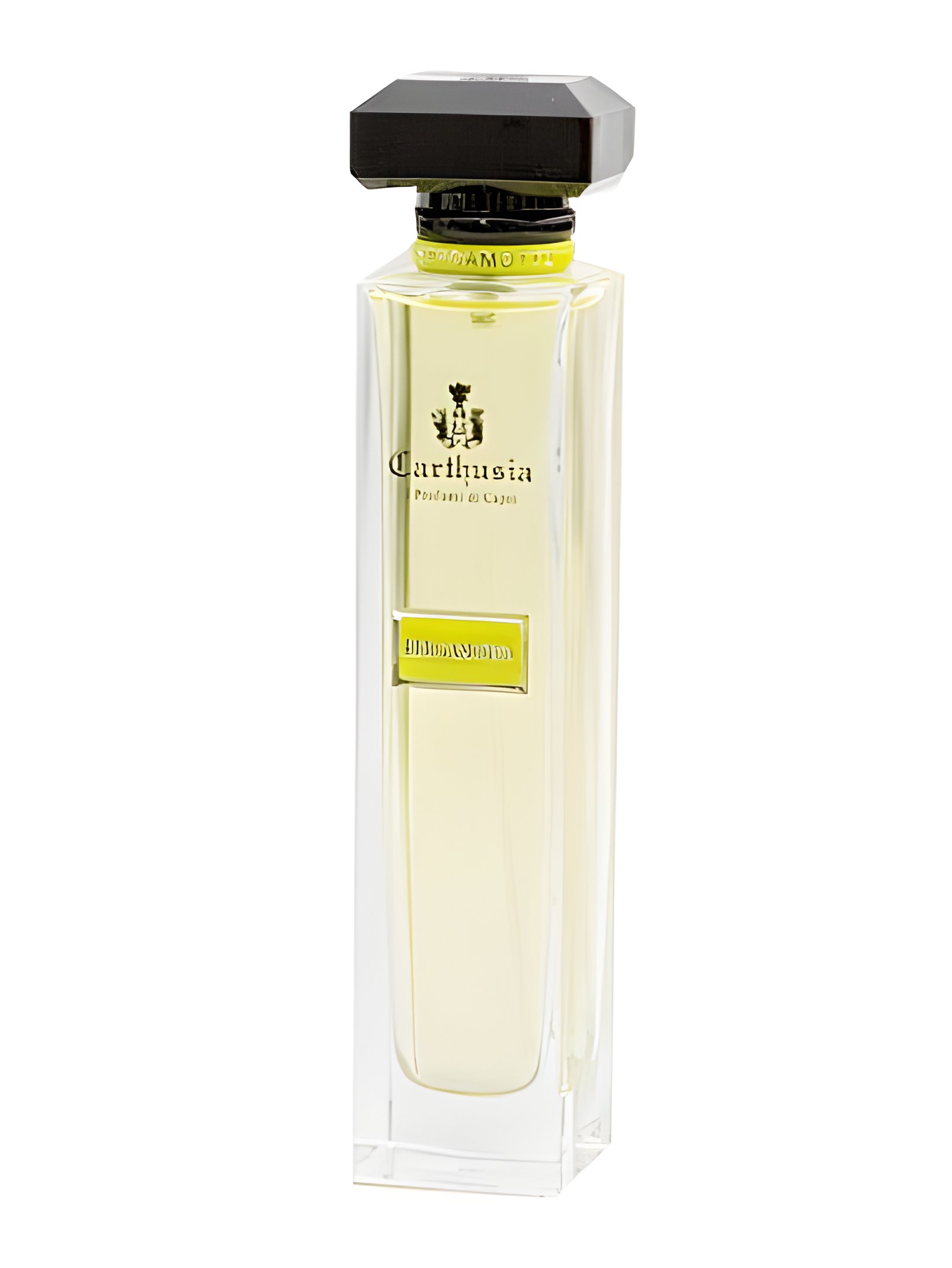 Picture of Acqua Di Carthusia Bergamoto fragrance