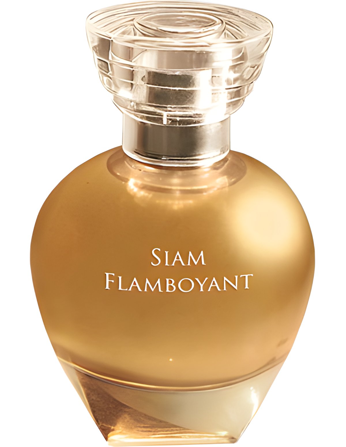 Picture of Siam Flamboyant fragrance