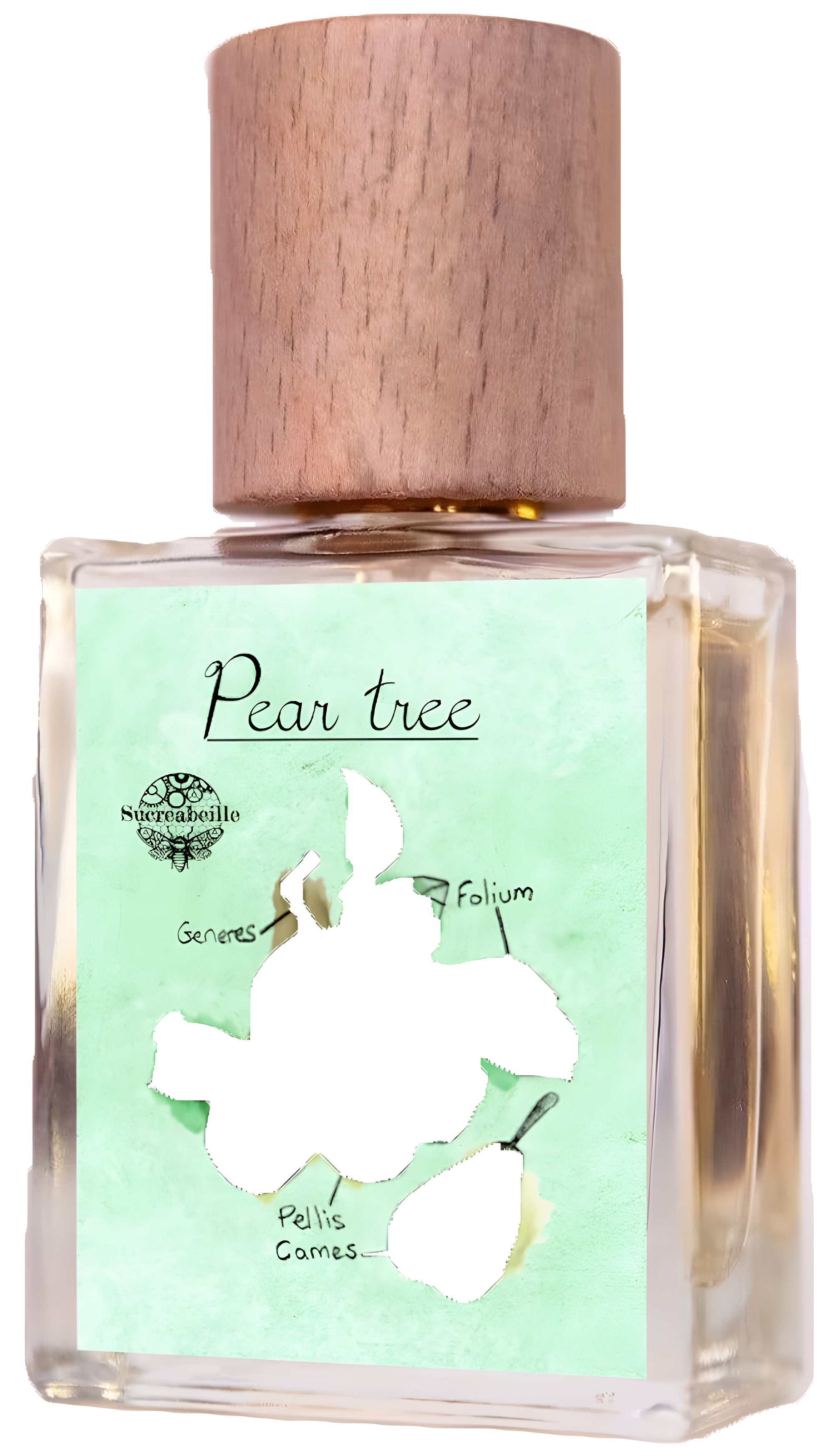 Picture of Pear Tree fragrance