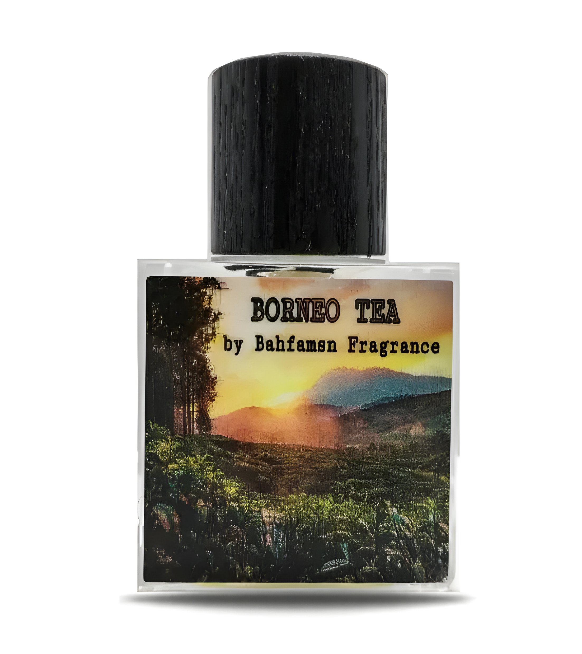 Picture of Borneo Tea fragrance