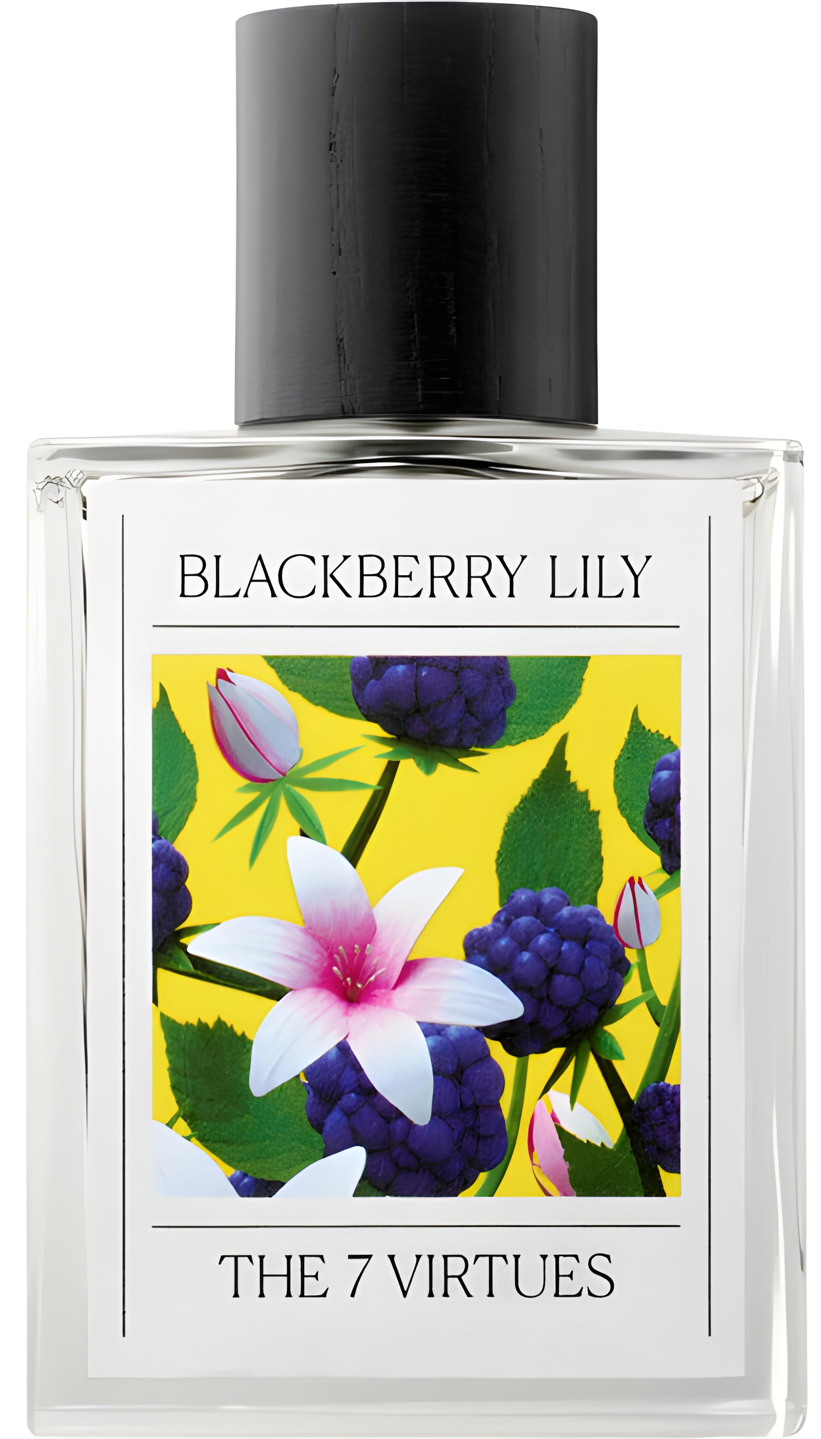 Picture of Blackberry Lily fragrance