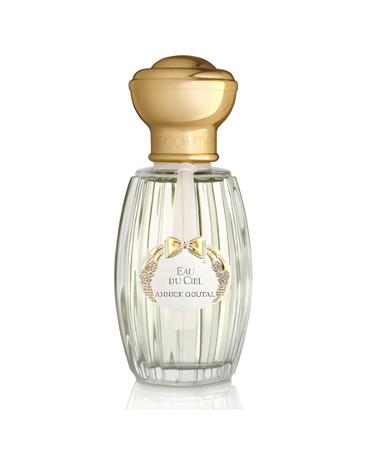 Picture of Eau de Ciel Eau de Toilette fragrance