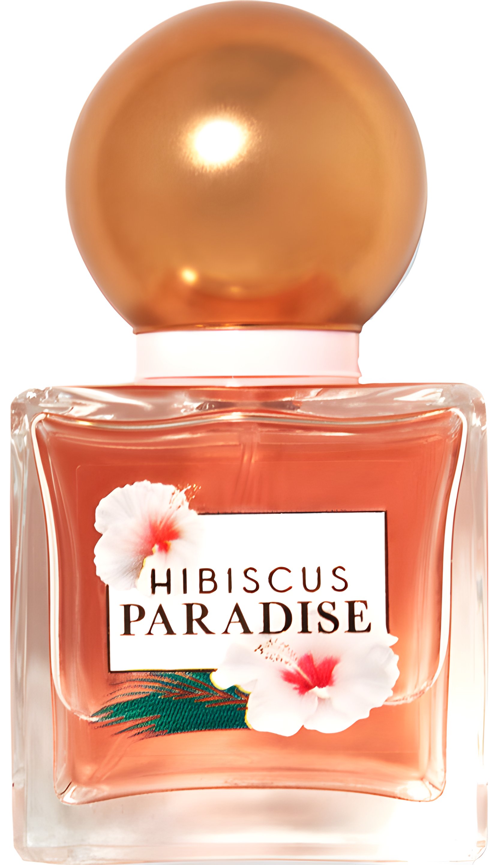 Picture of Hibiscus Paradise fragrance