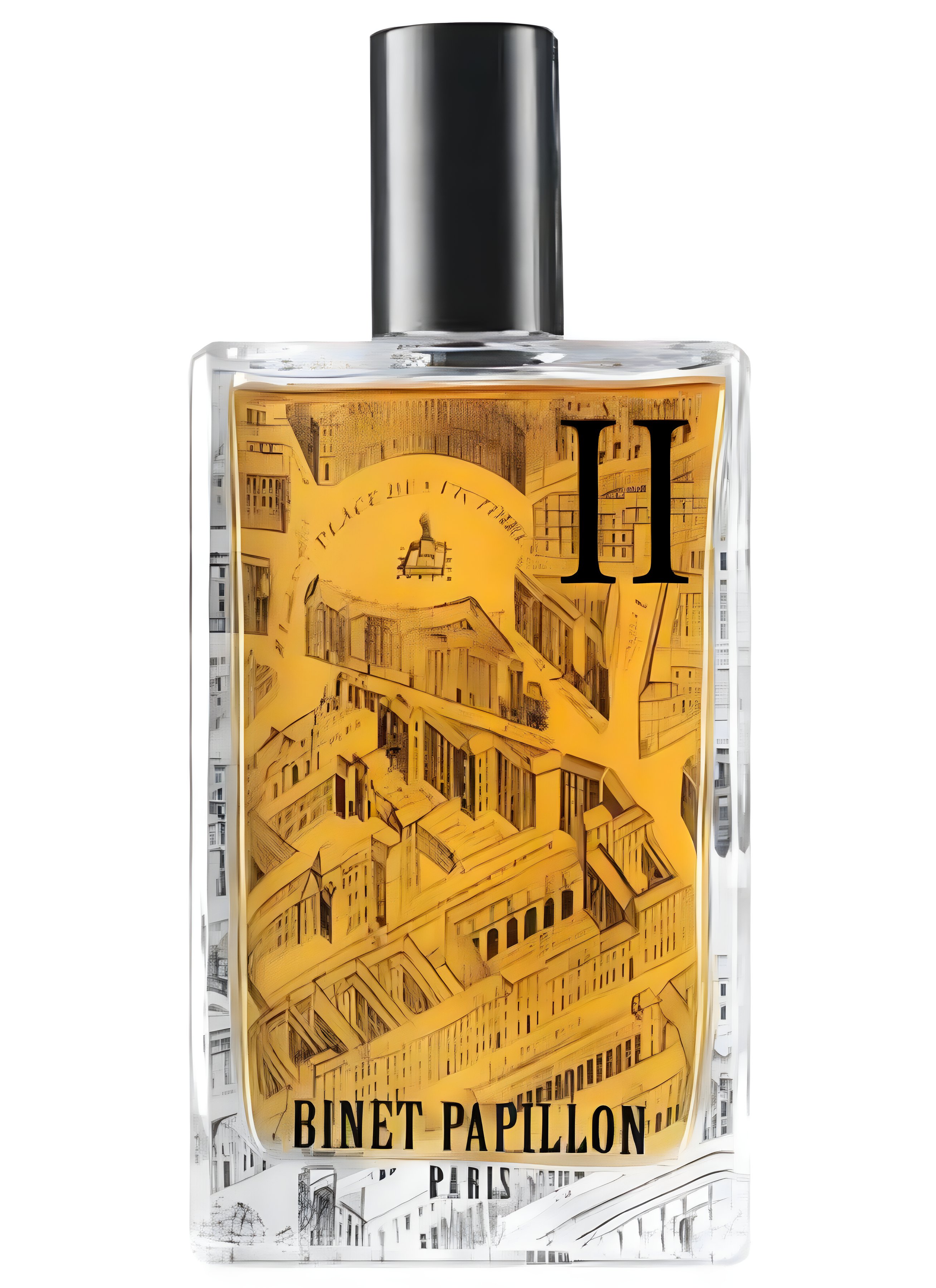 Picture of Patchouli P II Cachemire fragrance