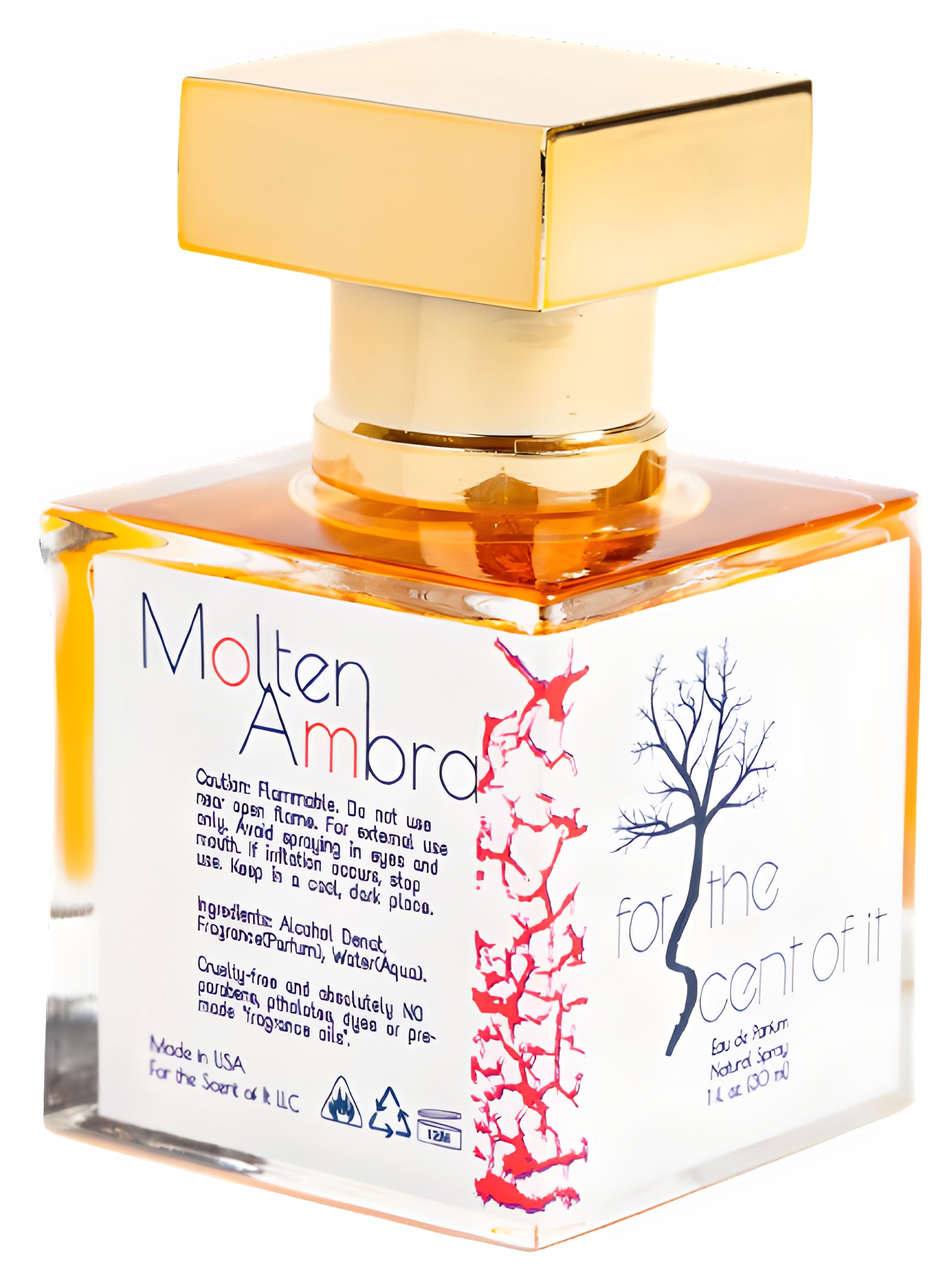 Picture of Molten Ambra fragrance